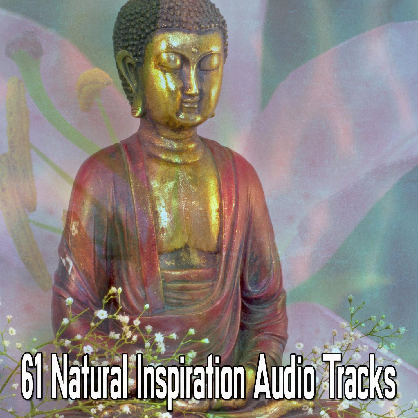 61 Natural Inspiration Audio Tracks