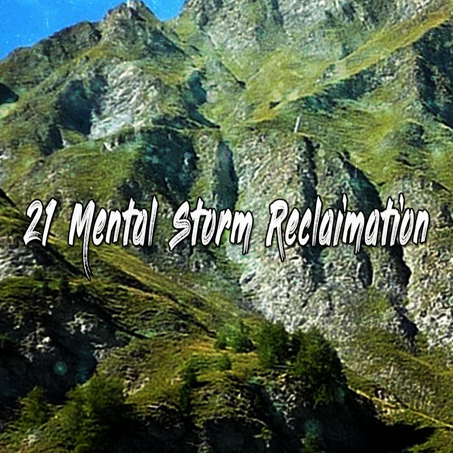 21 Mental Storm Reclaimation