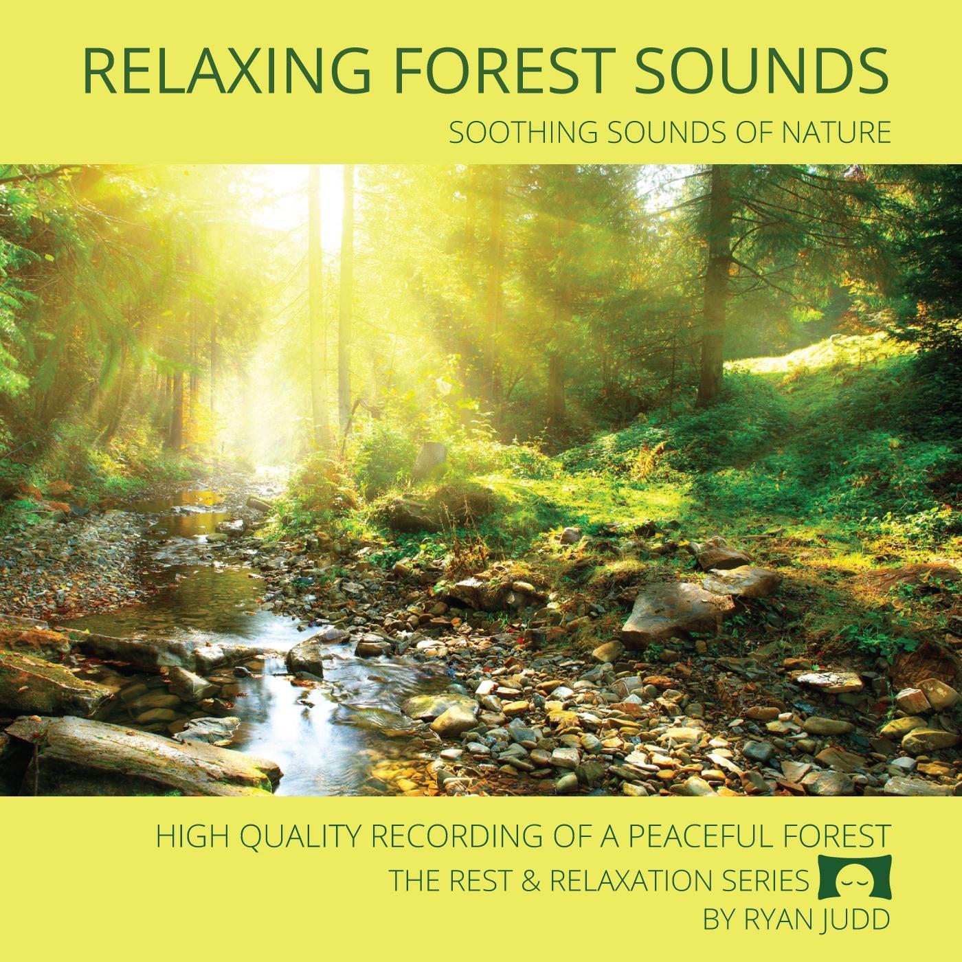 Peaceful Forest Sounds