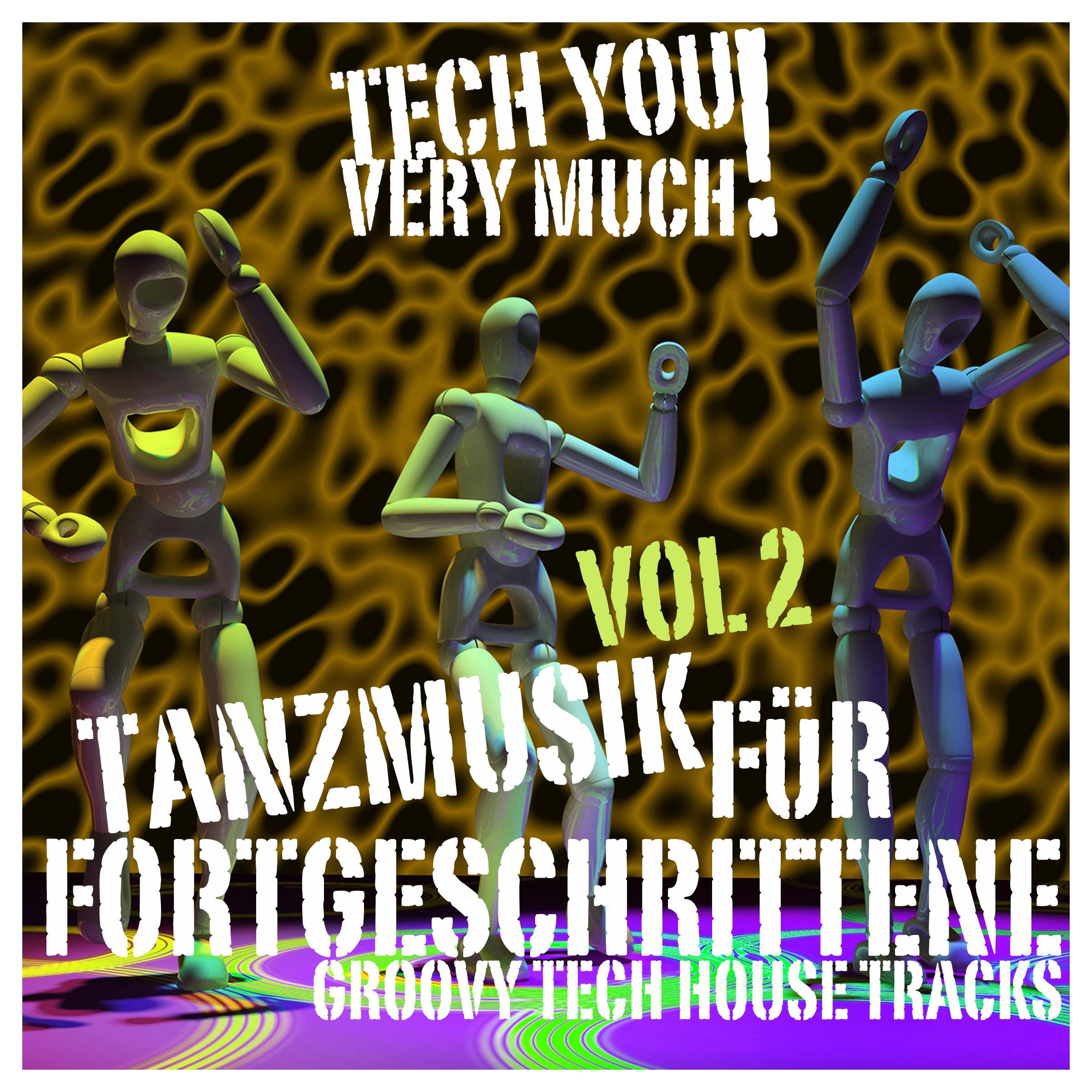 Tanzmusik fü r Fortgeschrittene, Vol. 2 Groovy Tech House Tracks