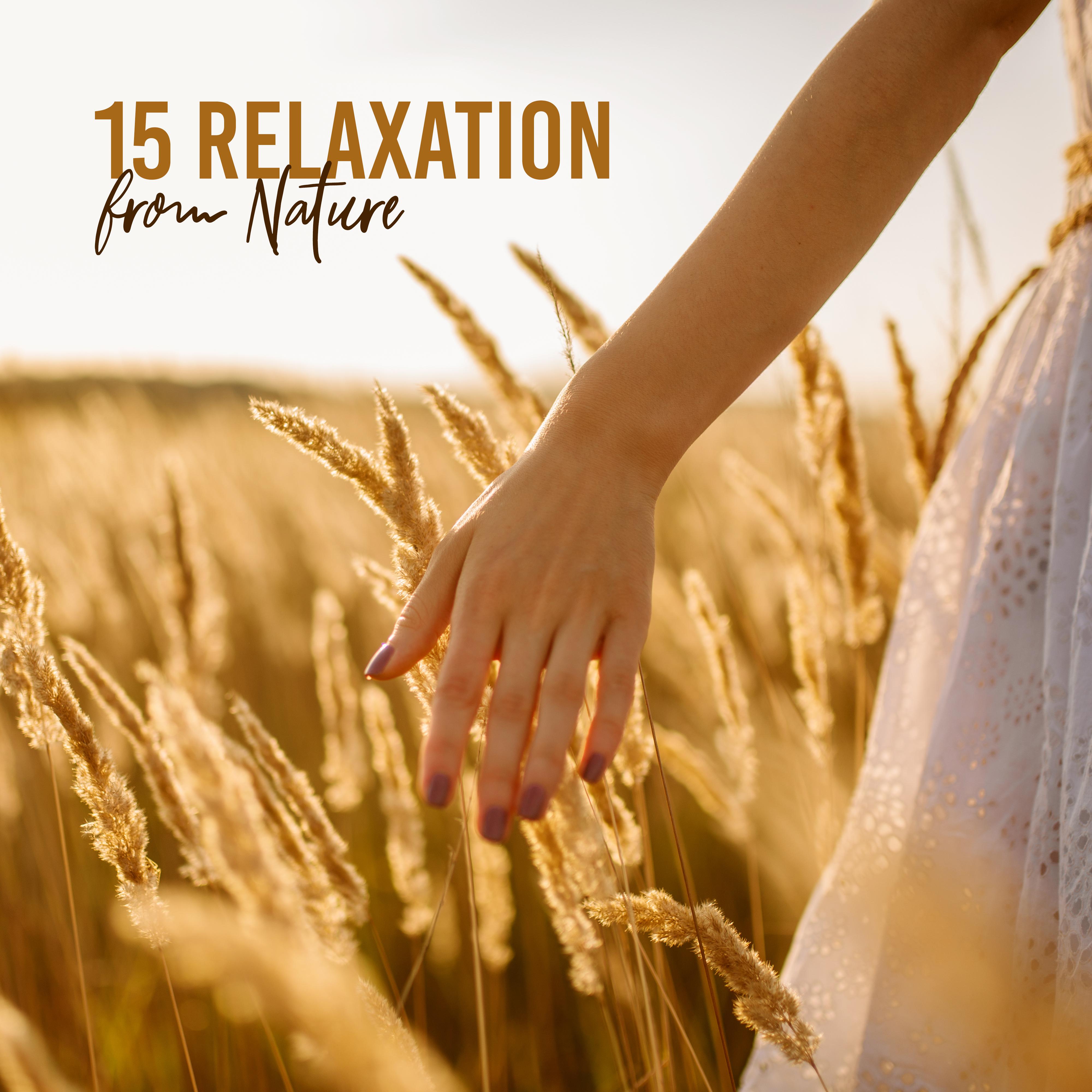 15 Relaxation from Nature  Soothing Sounds for Sleep, Meditation, Rest, Nature Music, Reduce Stress, Pure Zen, Music Therapy, New Age Music