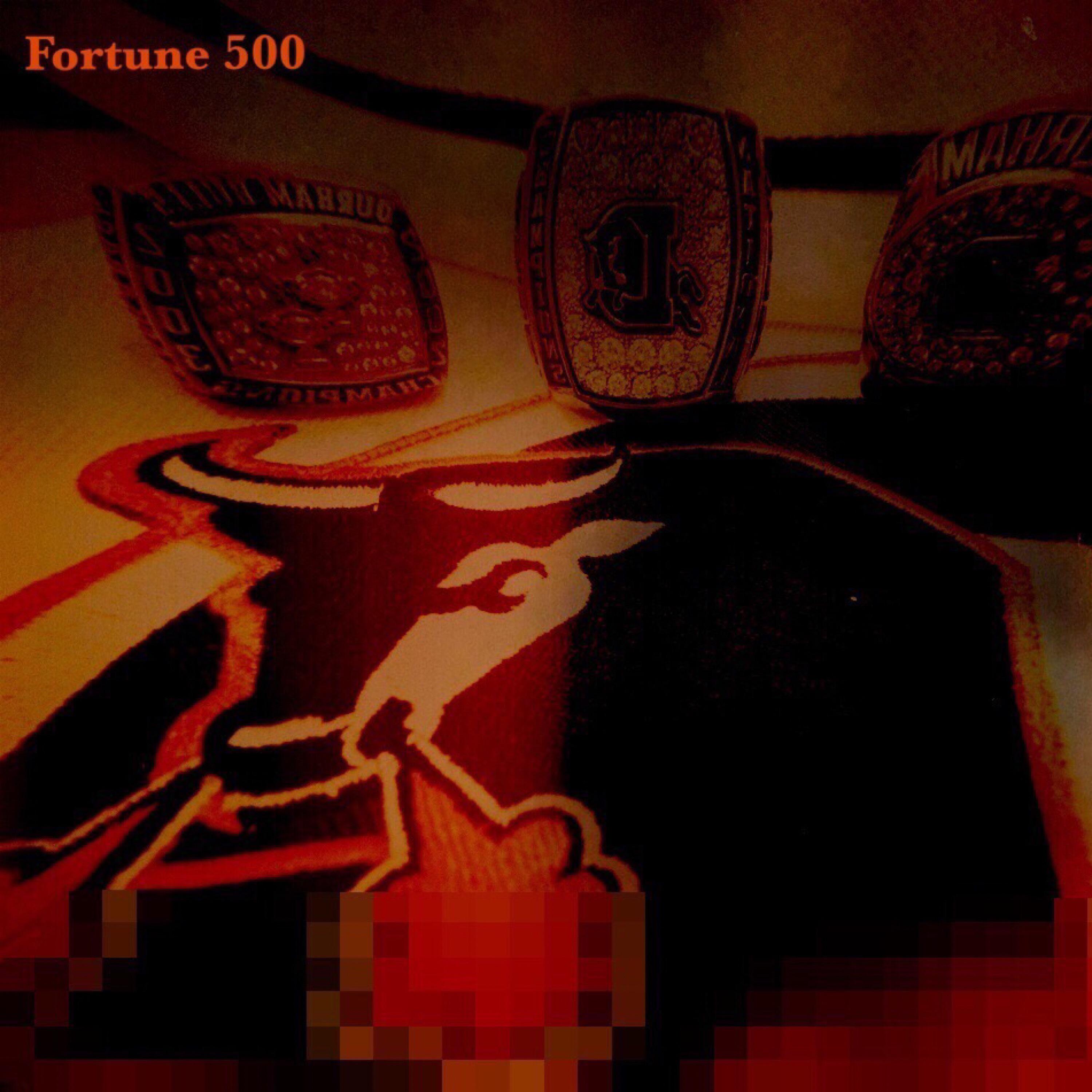 Fortune 500