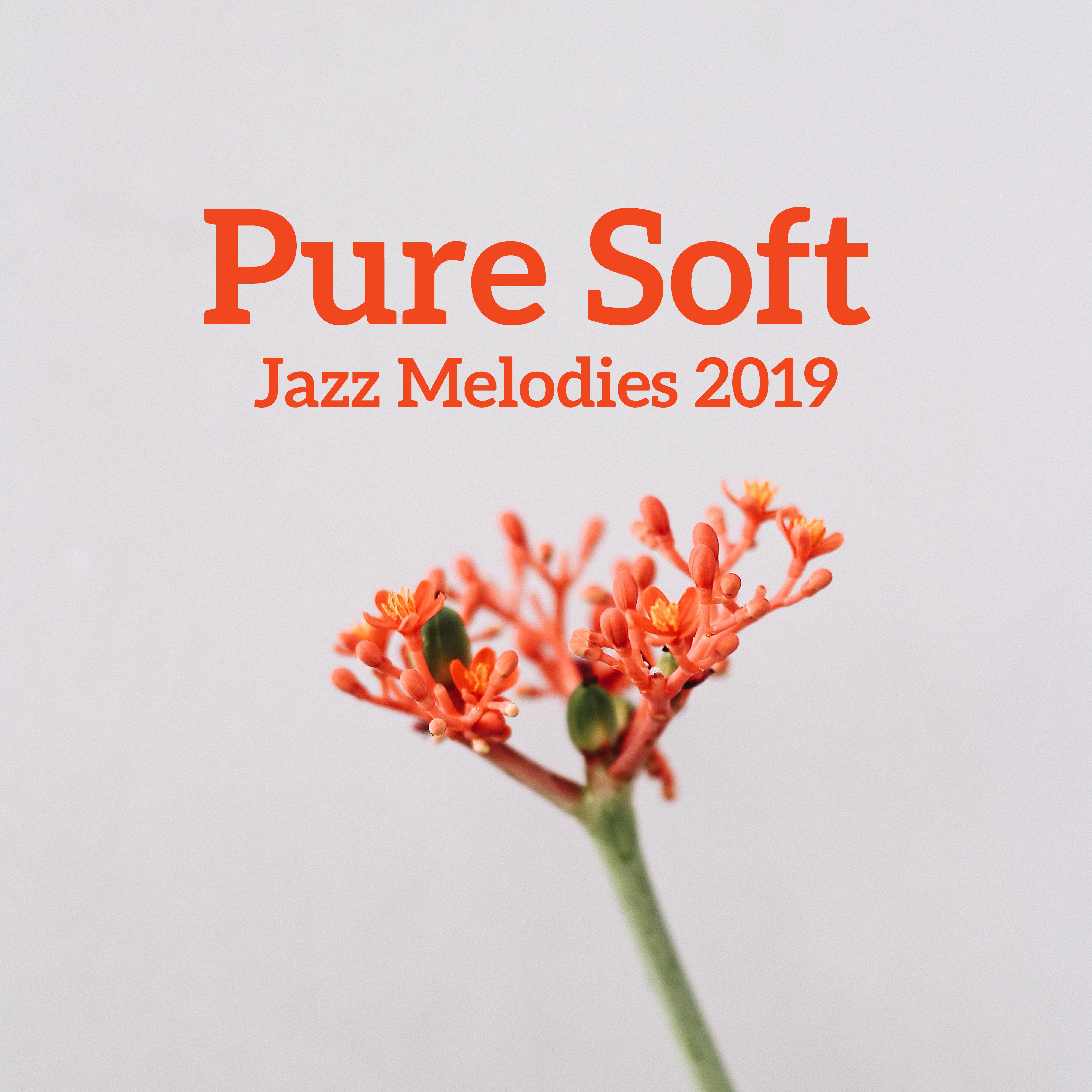 Pure Soft Jazz Melodies 2019