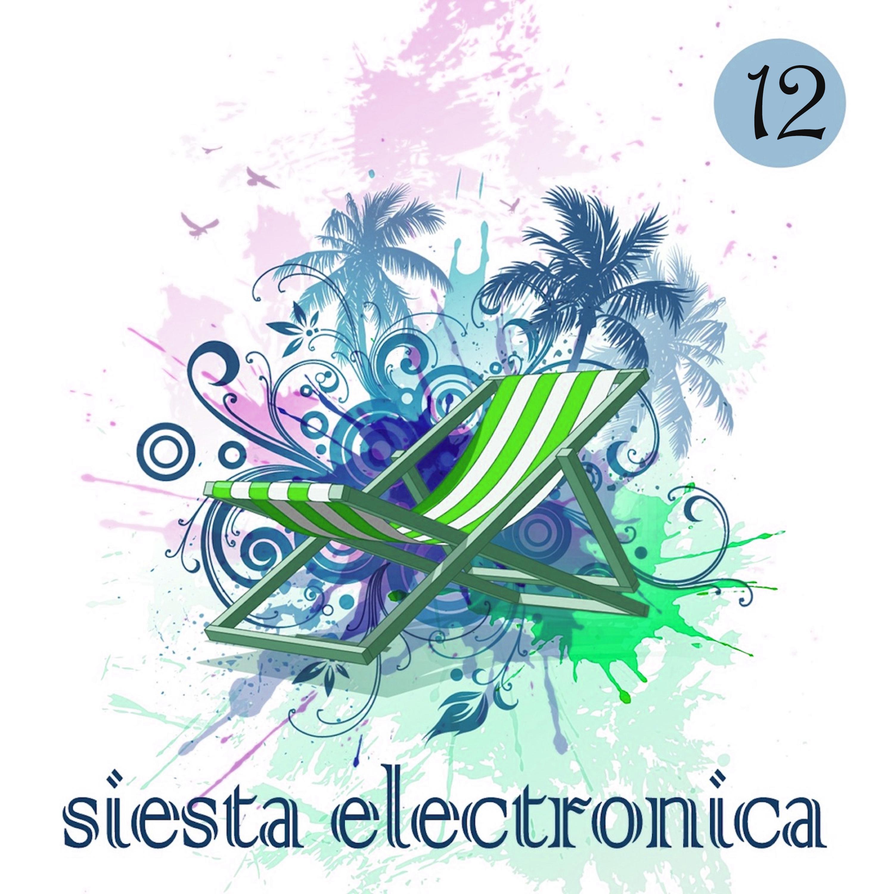 Siesta Electronica, Vol. 12