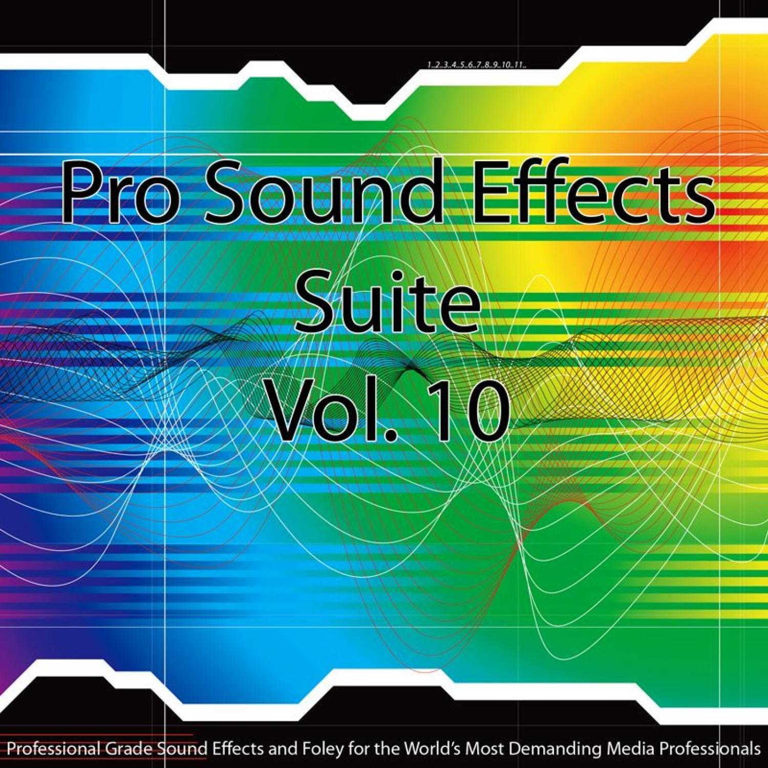 Pro Sound Effects Suite 10 - Sports 4