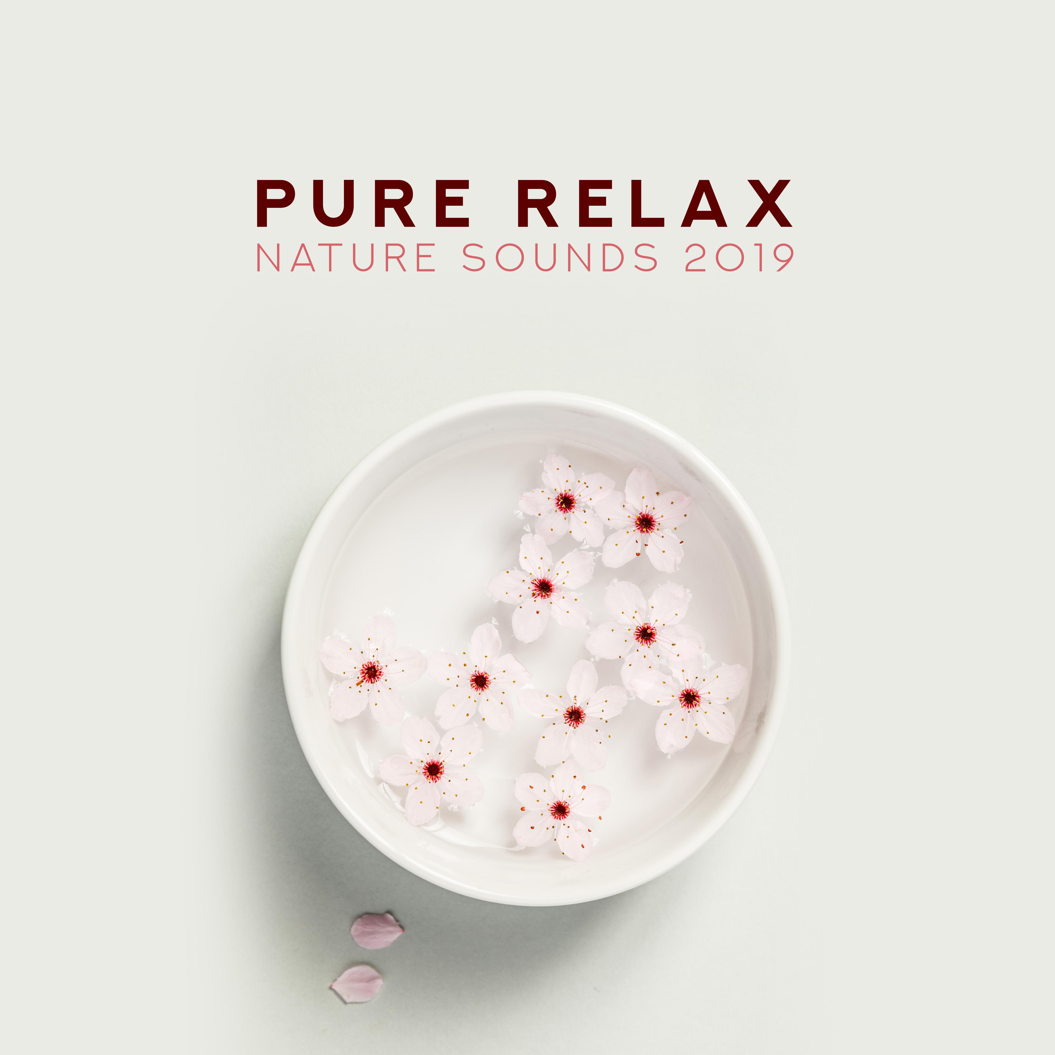 Pure Relax Nature Sounds 2019