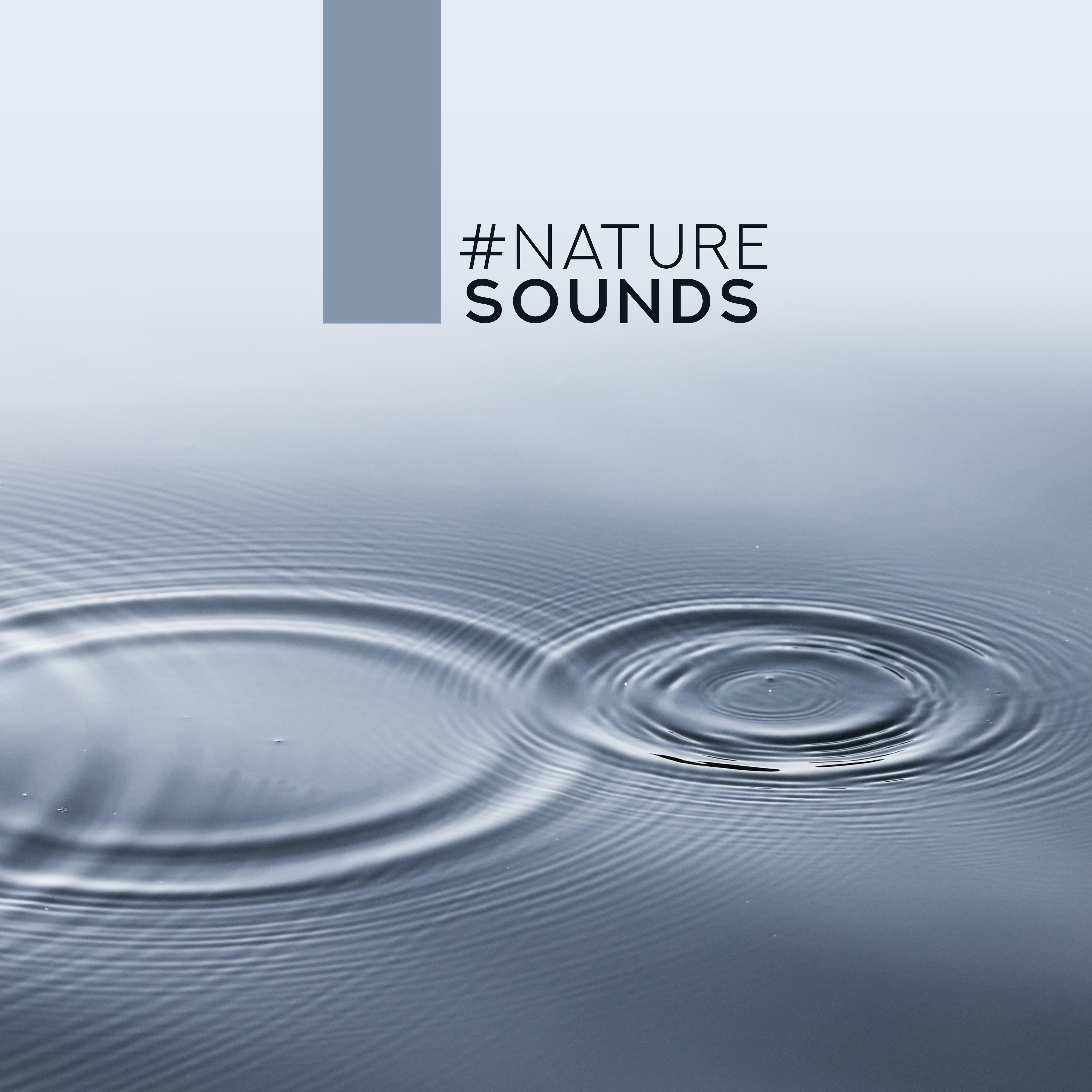 nature sounds  Relaxing Music for Spa, Sleep, Relaxation, Nature Music, Soothing Nature Sounds to Calm Down