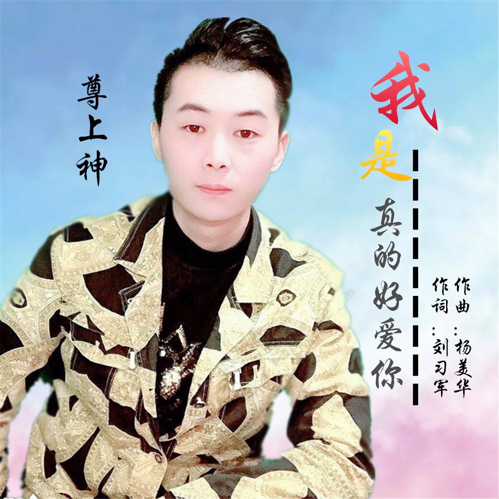 wo shi zhen de hao ai ni