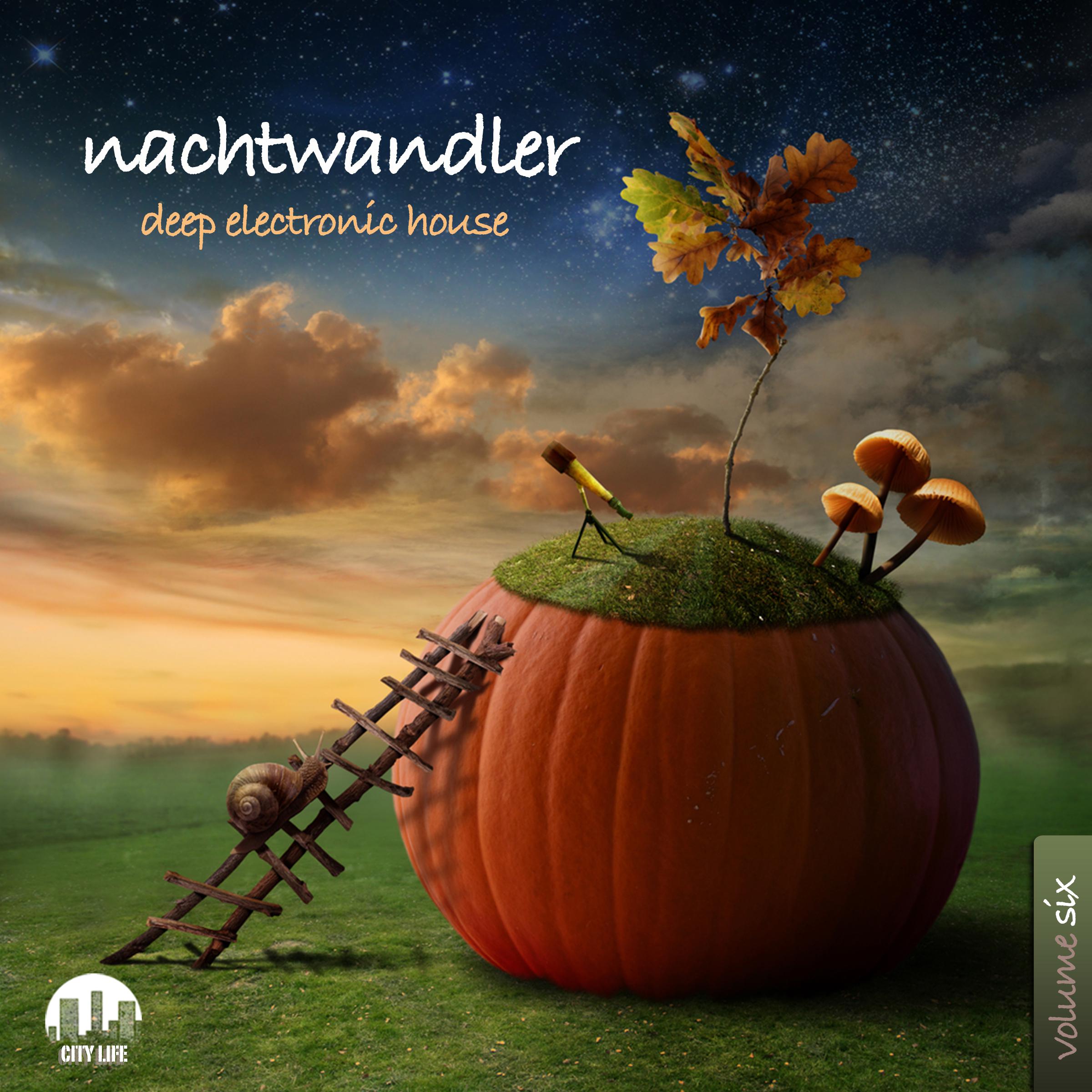 Nachtwandler, Vol. 6 - Deep Electronic House