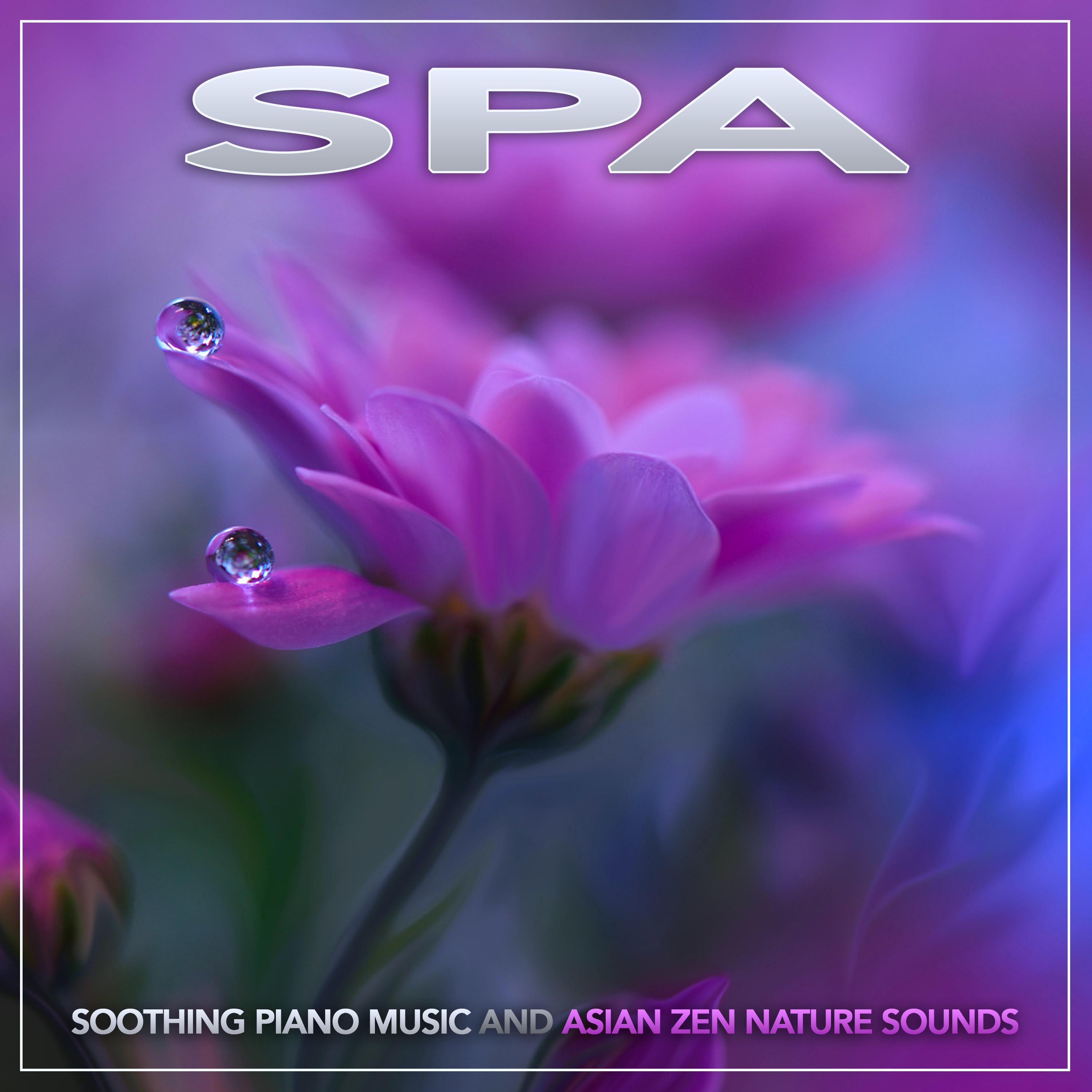 Soothing Piano With Bird Sounds For Wellness