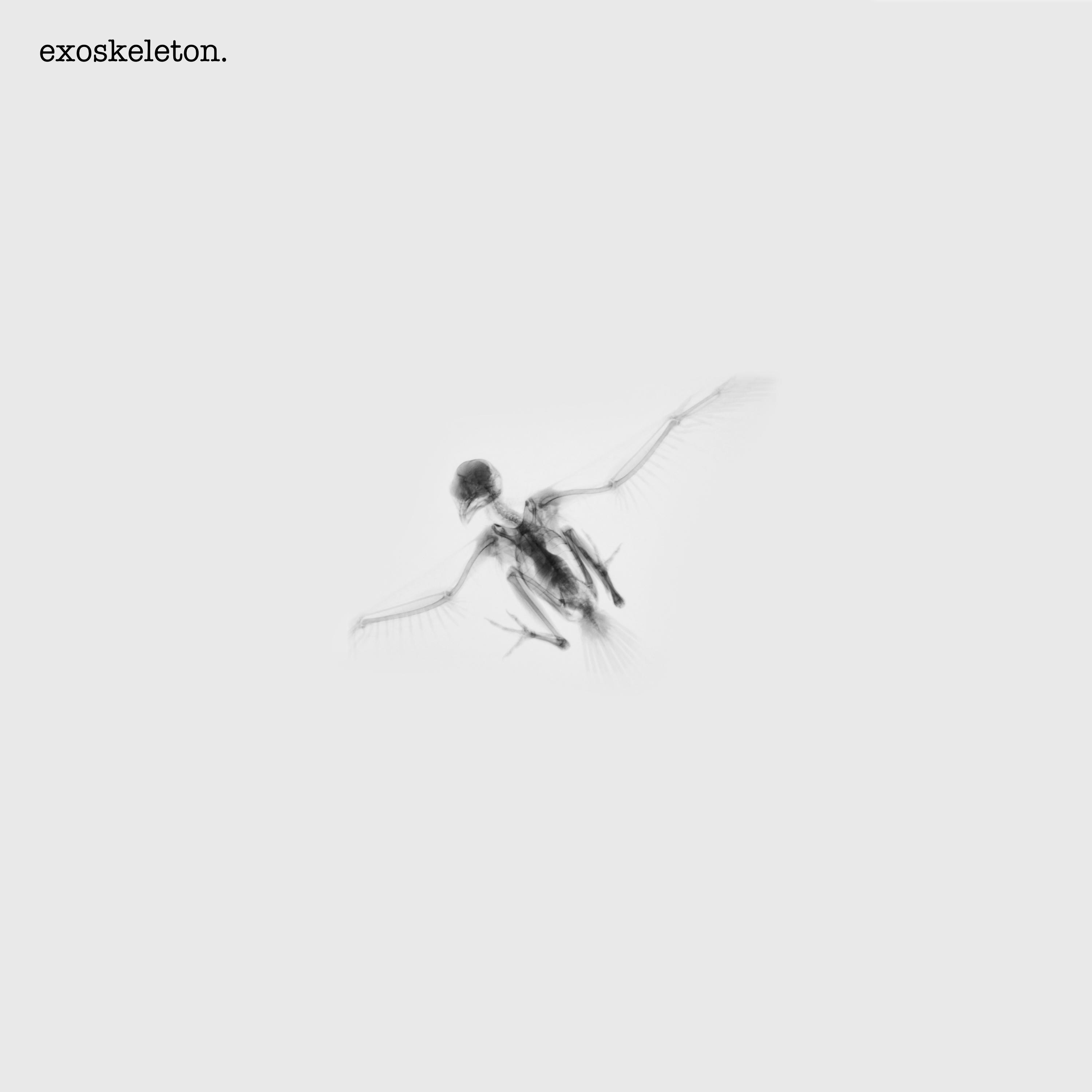 Exoskeleton