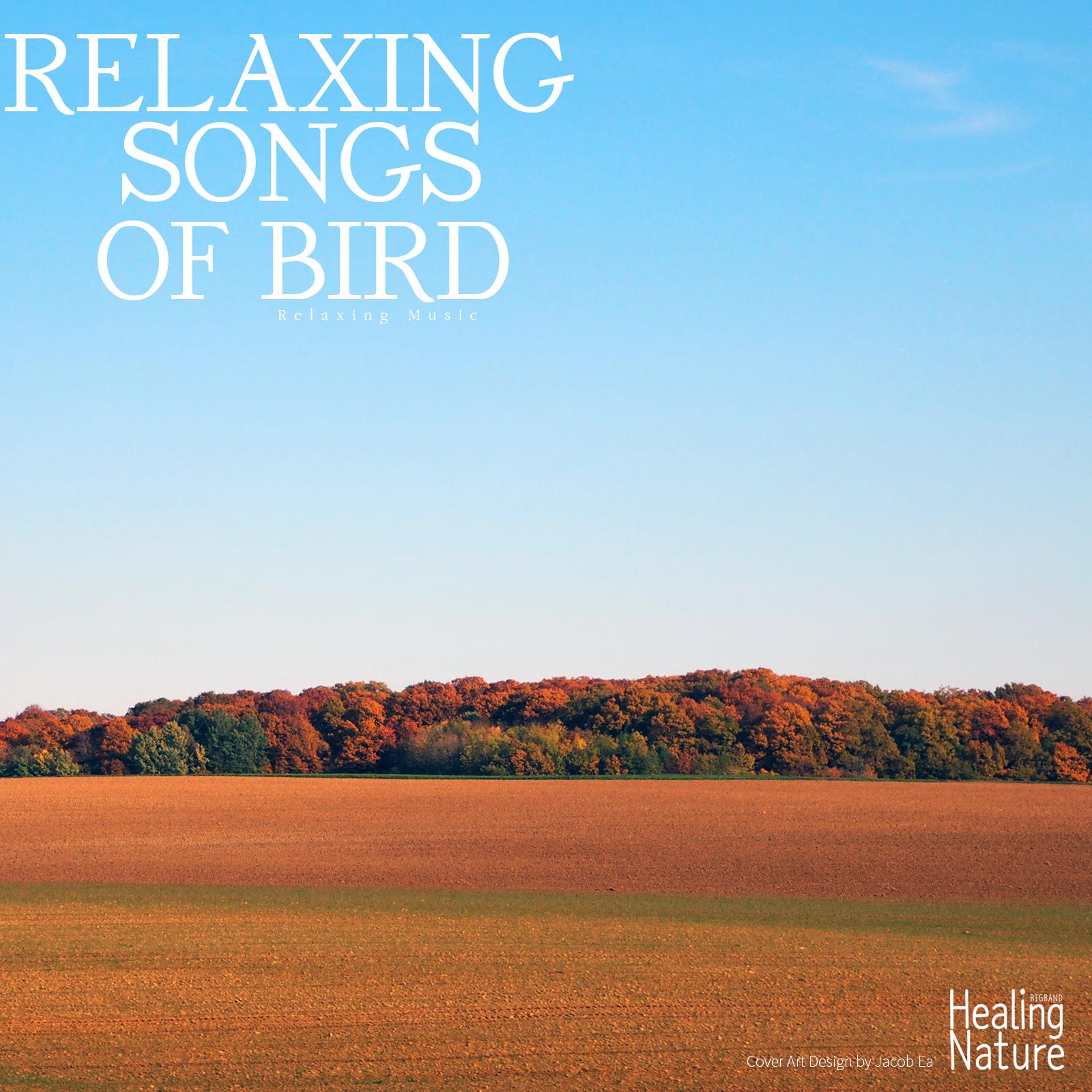 Relaxing Songs of Bird