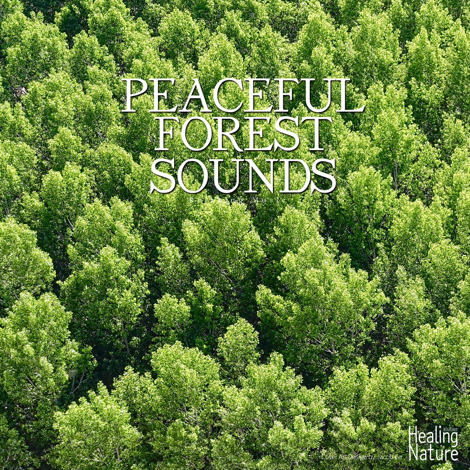 Peaceful Forest Sounds