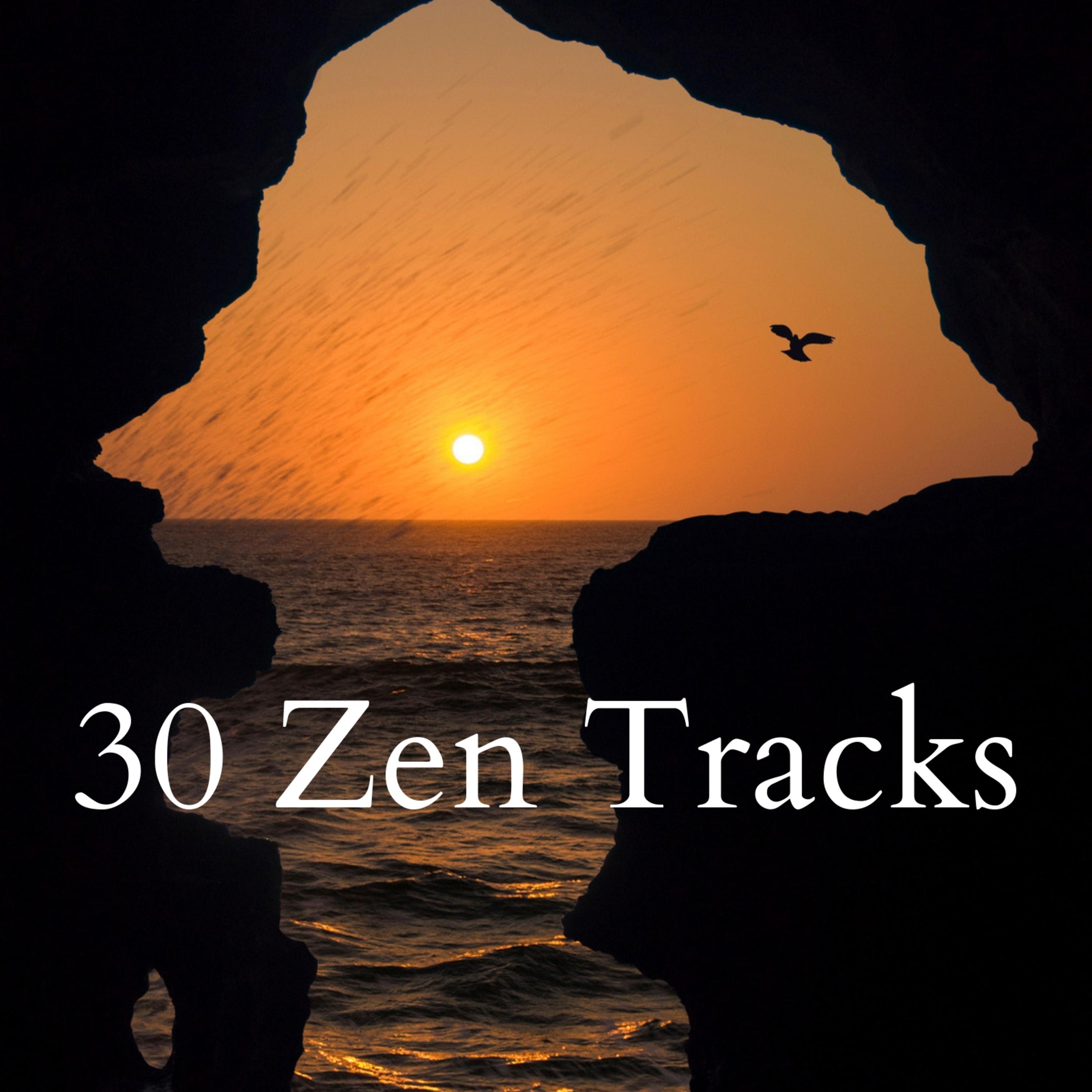 30 Zen Tracks