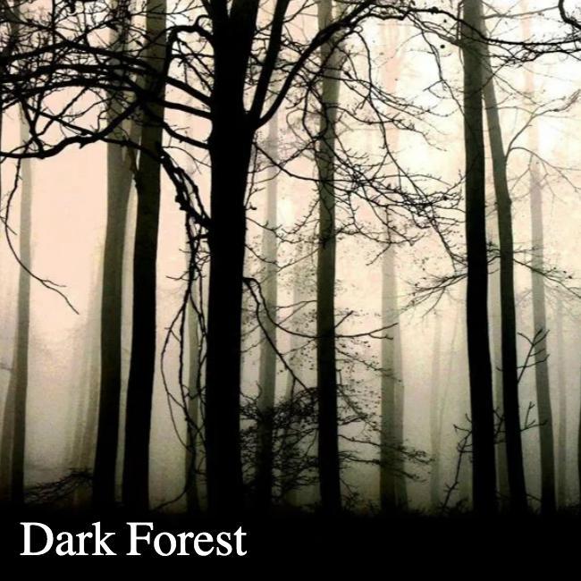 Dark forest