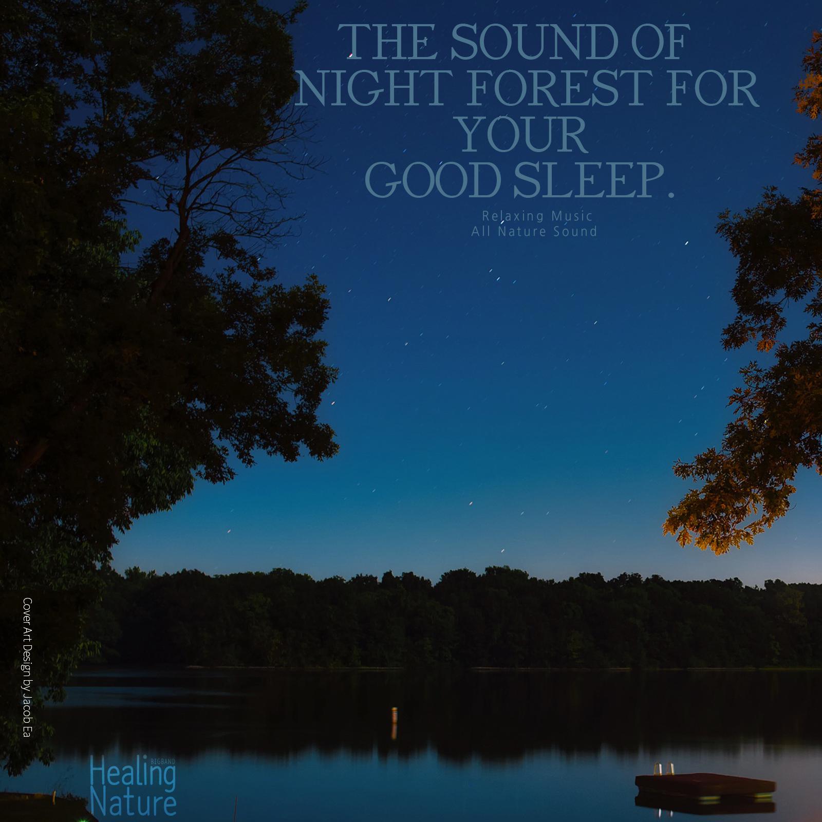 The Sound of Night Forest for Your Good Sleep