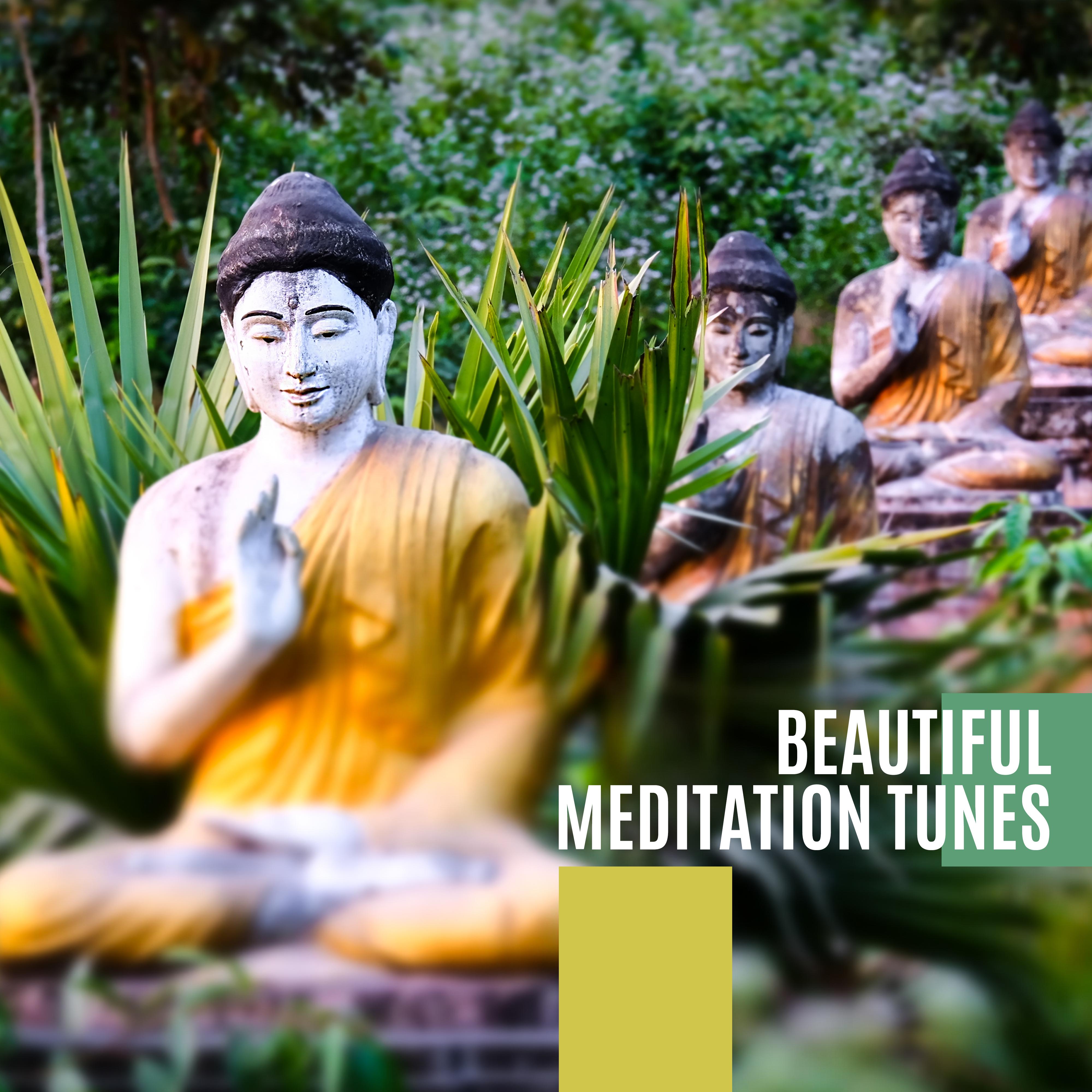 Beautiful Meditation Tunes: Gentle Melodies for Meditation, Subtle Music for Contemplation, Quiet Tunes for Relaxation and Rest