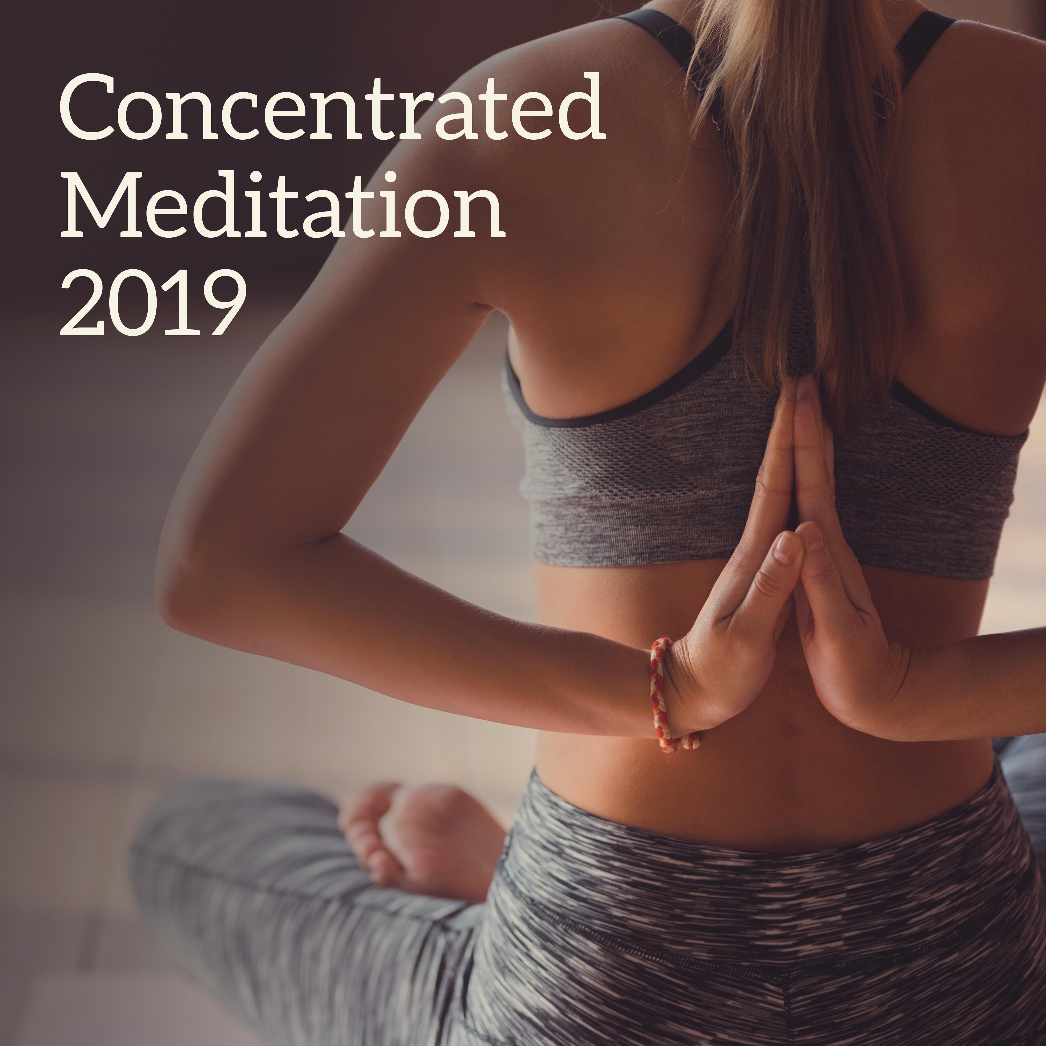 Concentrated Meditation 2019  New Age Music for Deep Meditation, Yoga Training, Deeper Sleep, Zen Lounge, Chakra Sleep Meditation, Relaxing Music