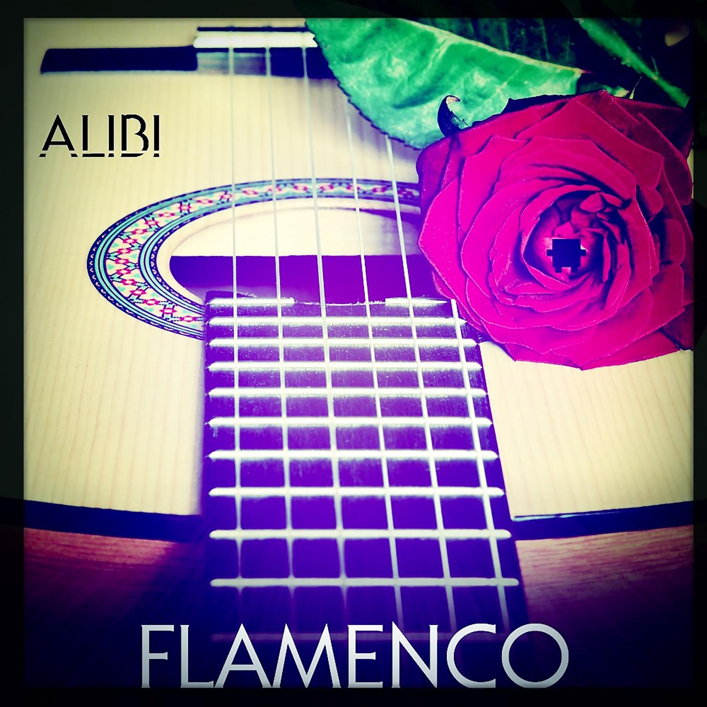 Flamenco Fever: Instrumental Spanish Guitar Favorites