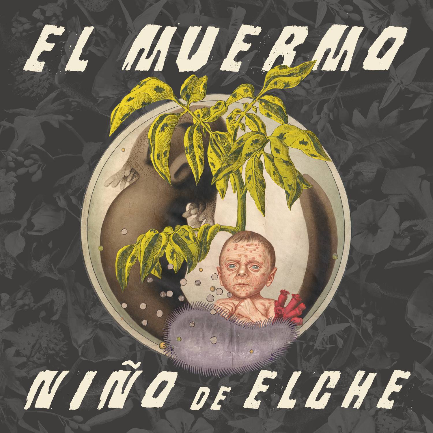 El Muermo