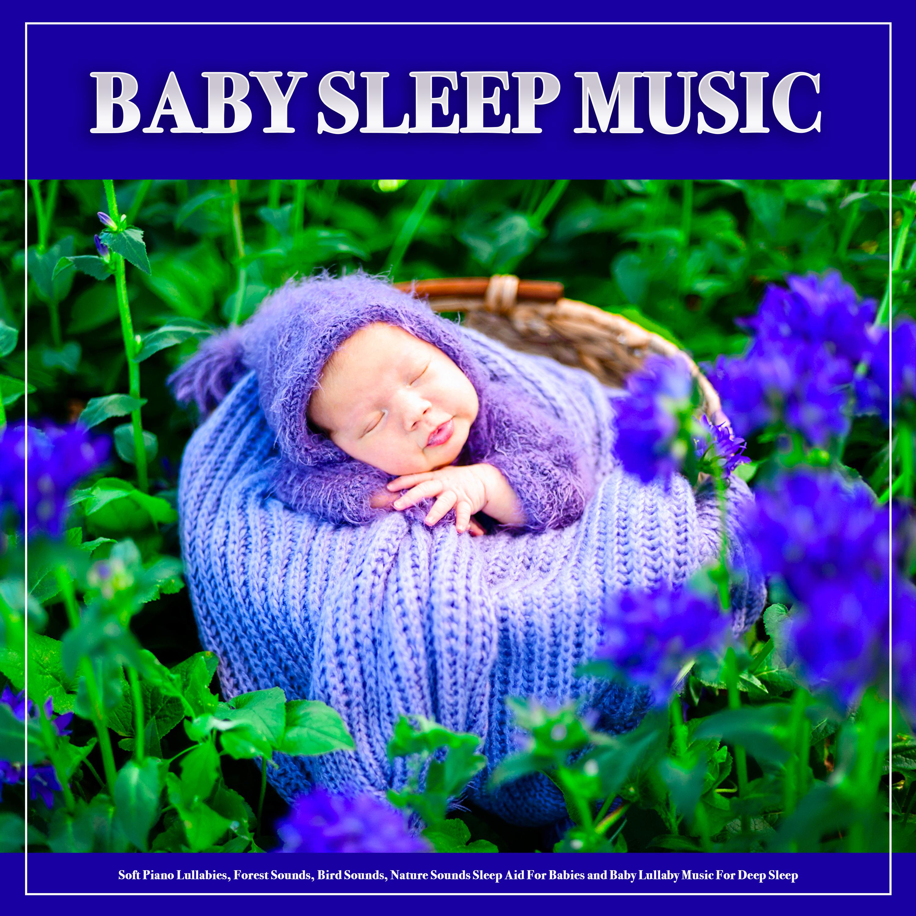 Baby Sleep Music: Soft Piano Lullabies, Forest Sounds, Bird Sounds, Nature Sounds Sleep Aid For Babies and Baby Lullaby Music For Deep Sleep
