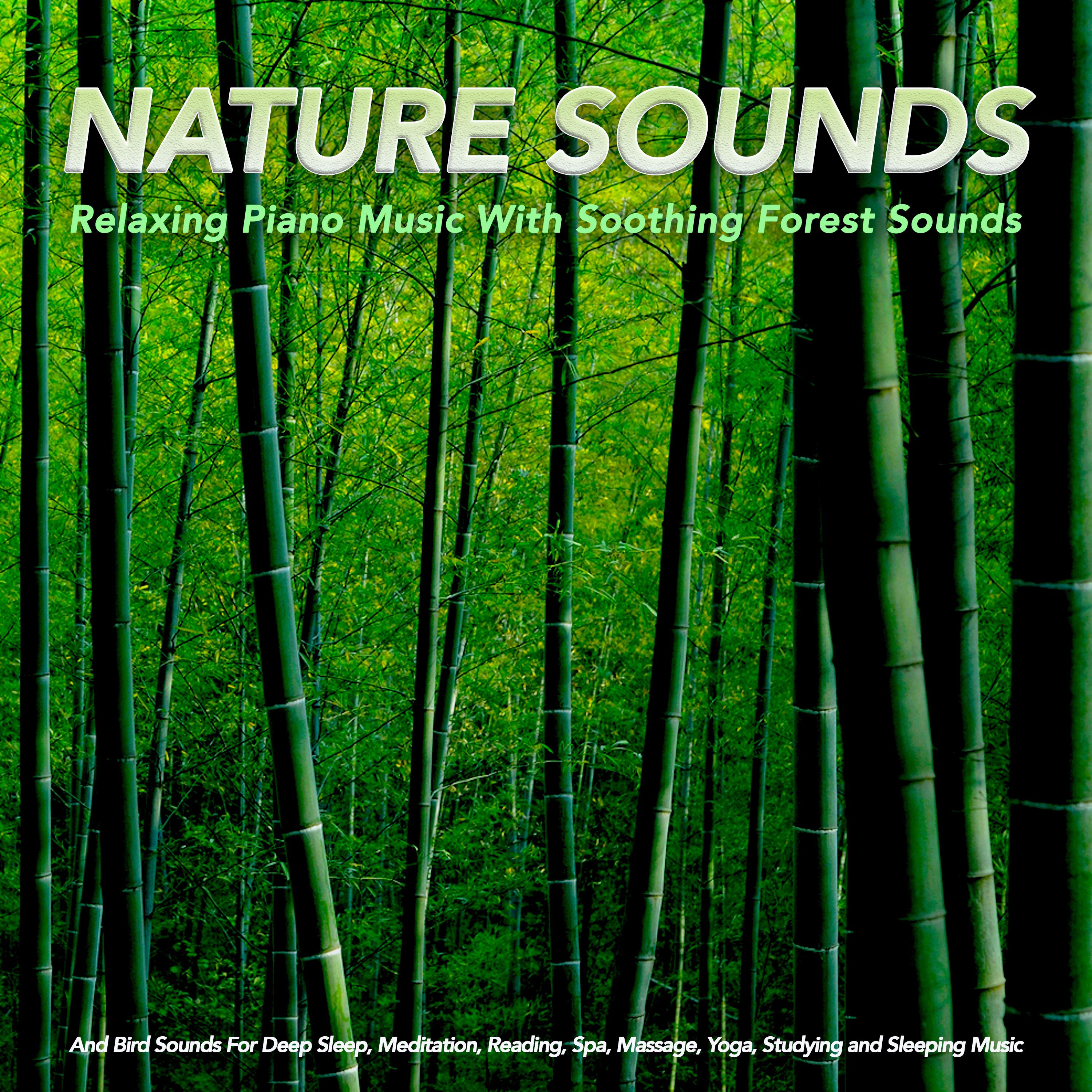Peaceful Ambient Music With Bird Sounds