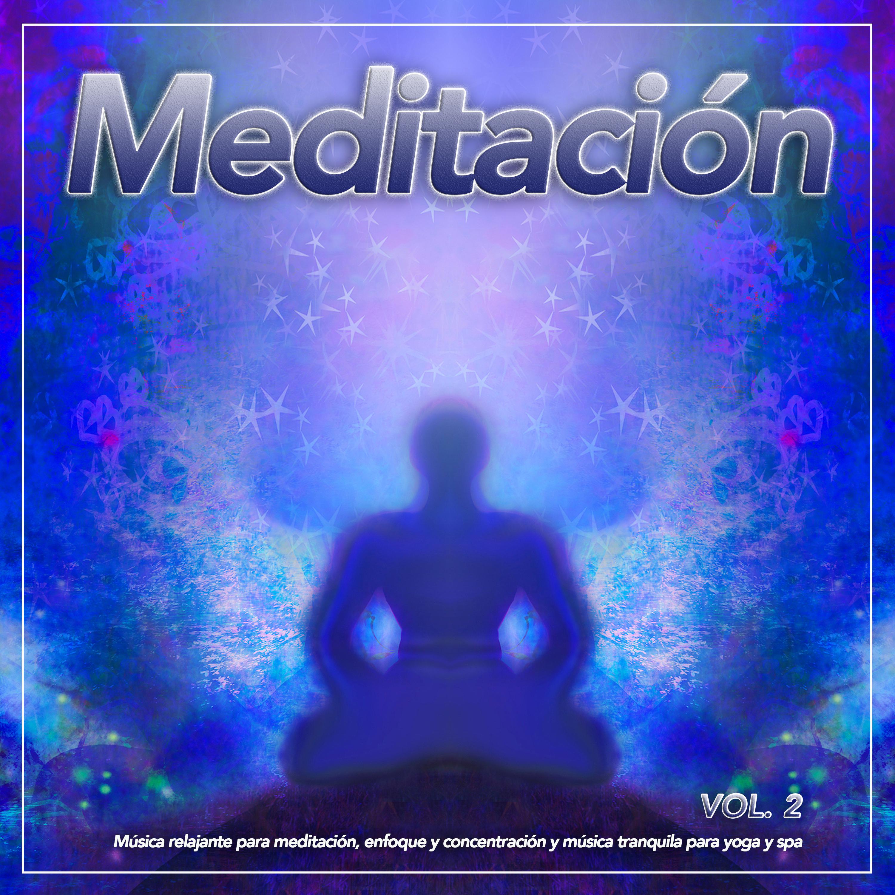 Meditacio n: Mu sica relajante para meditacio n, enfoque y concentracio n y mu sica tranquila para yoga y spa, Vol. 2