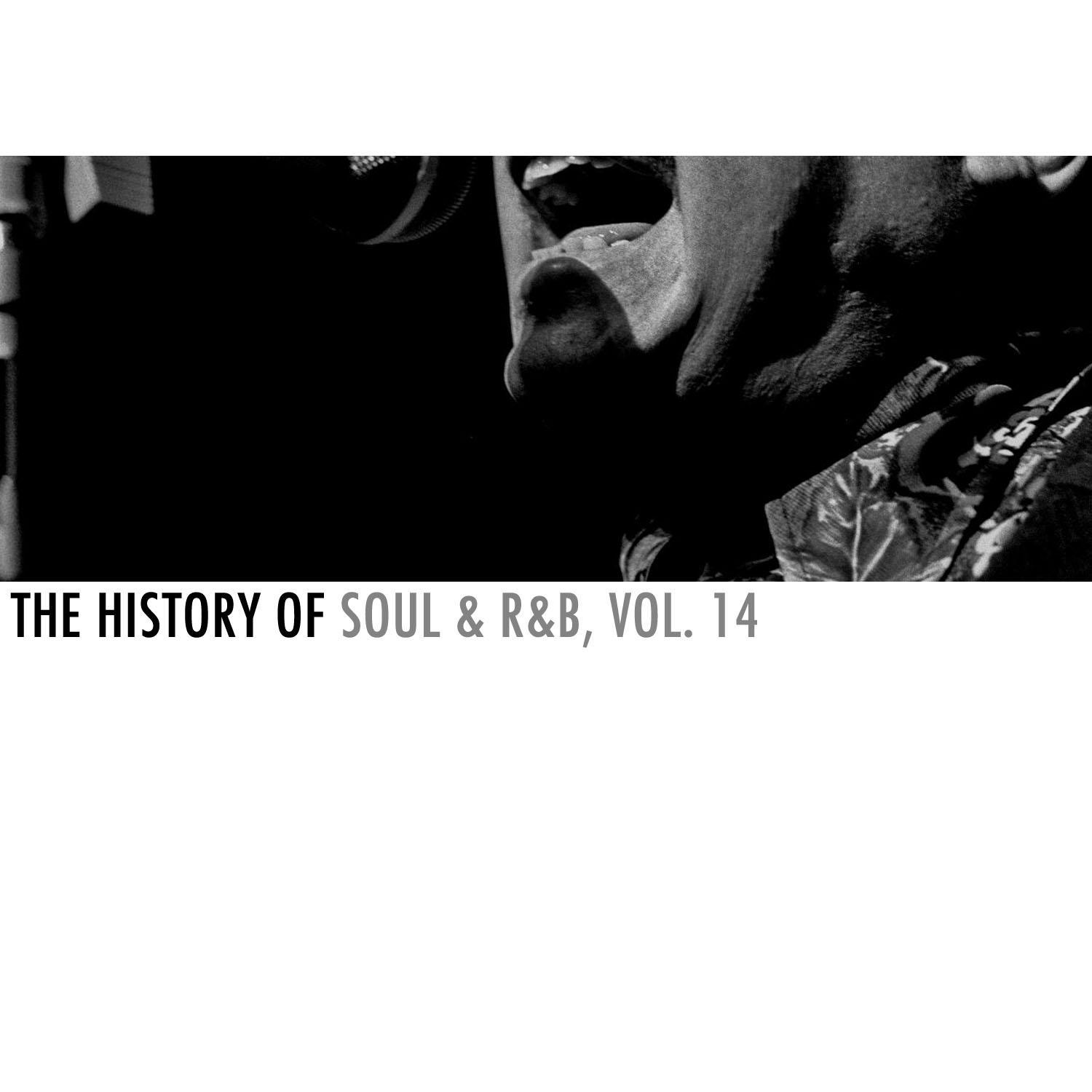 The History of Soul & R&B, Vol. 14