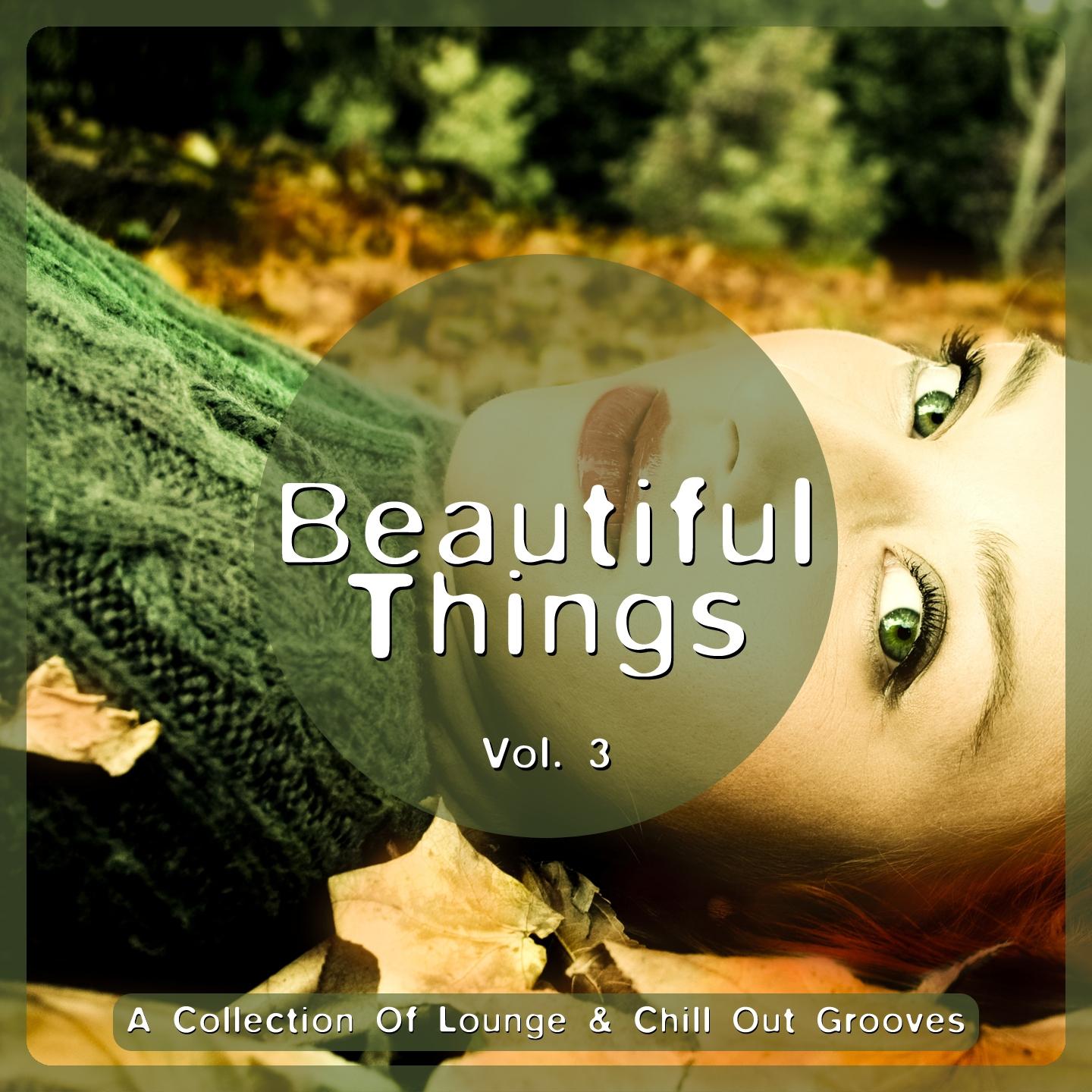 Beautiful Things, Vol. 3 (A Collection Of Lounge & Chill Out Grooves)