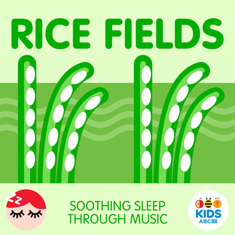 Rice Fields 5