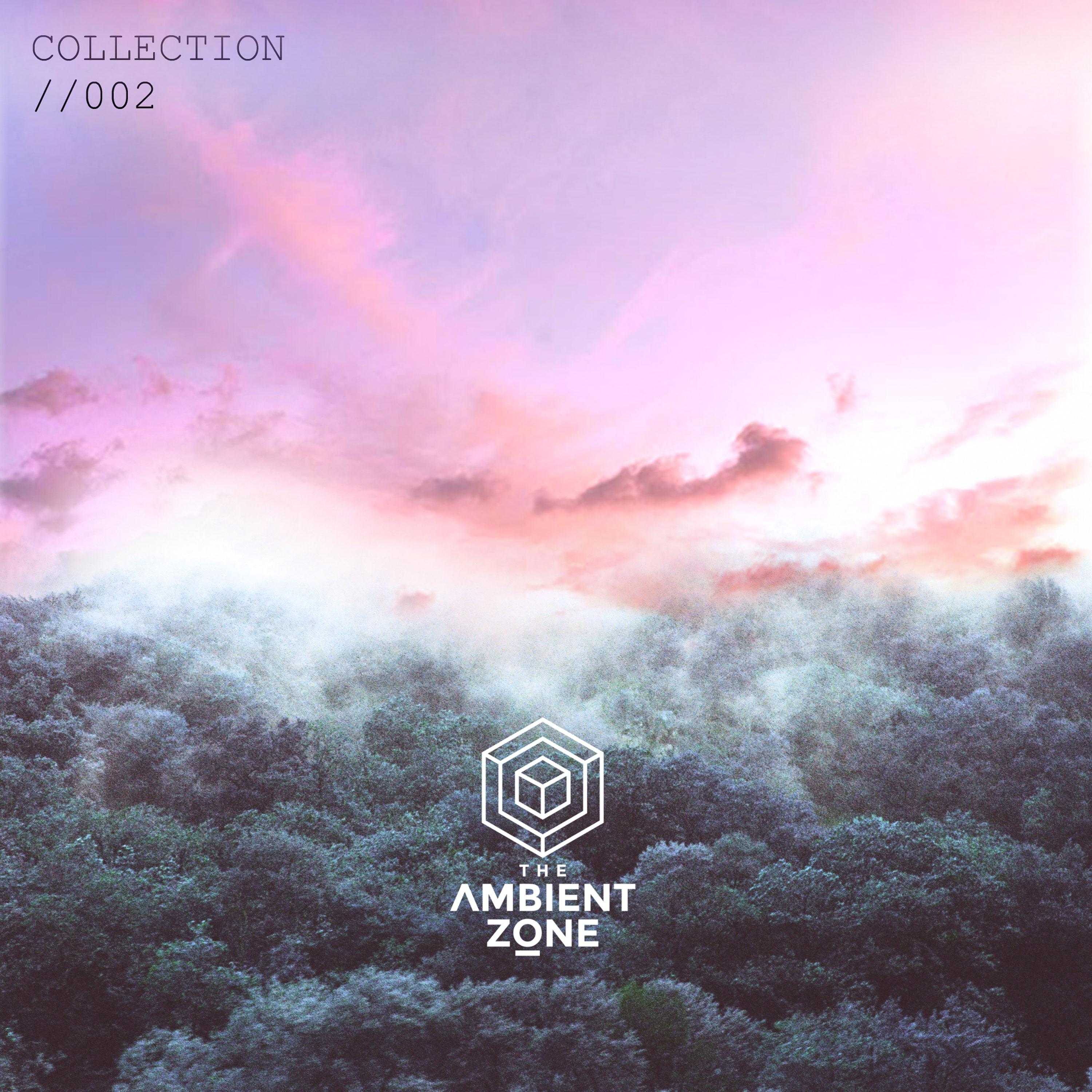 The Ambient Zone: Collection 002