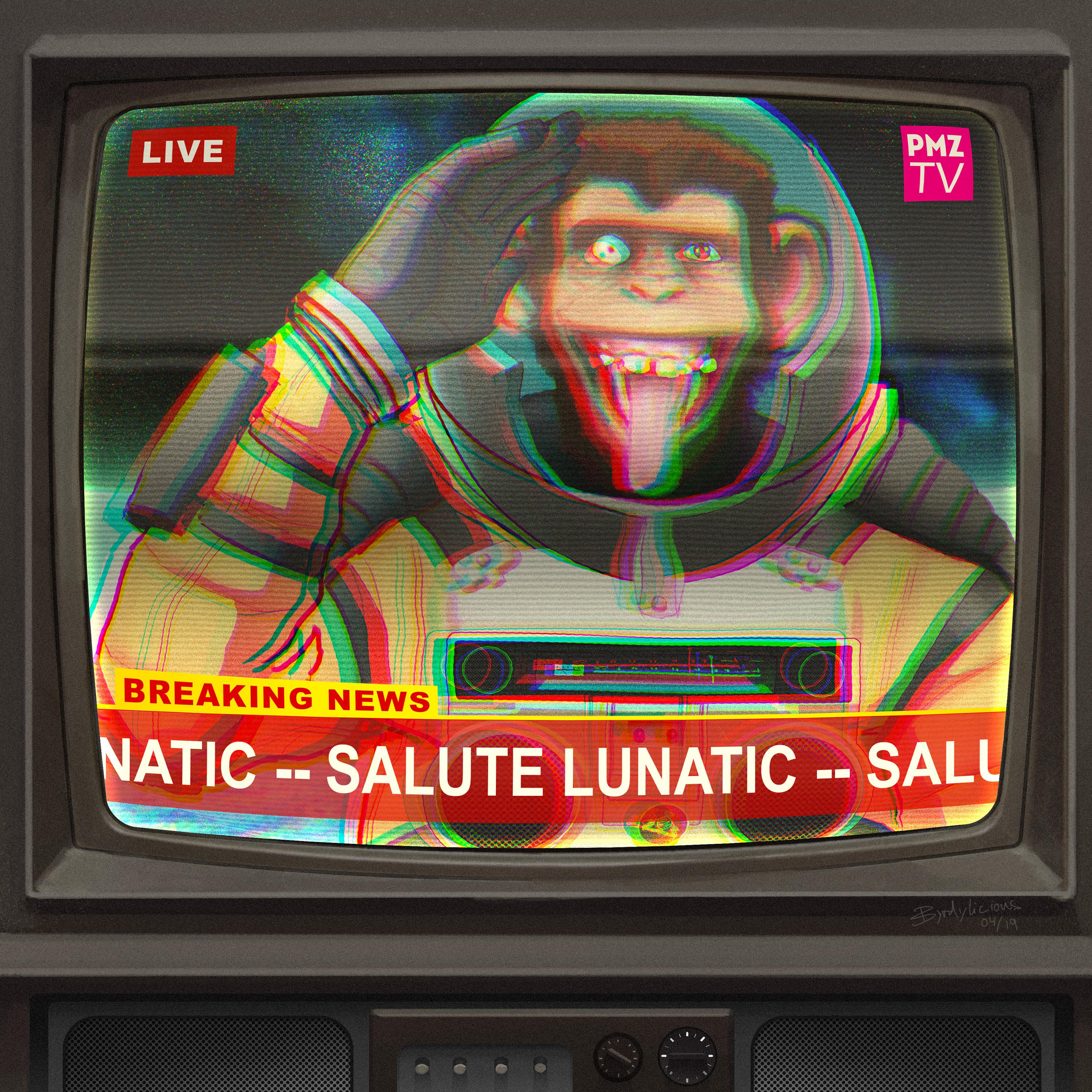 Salute Lunatic