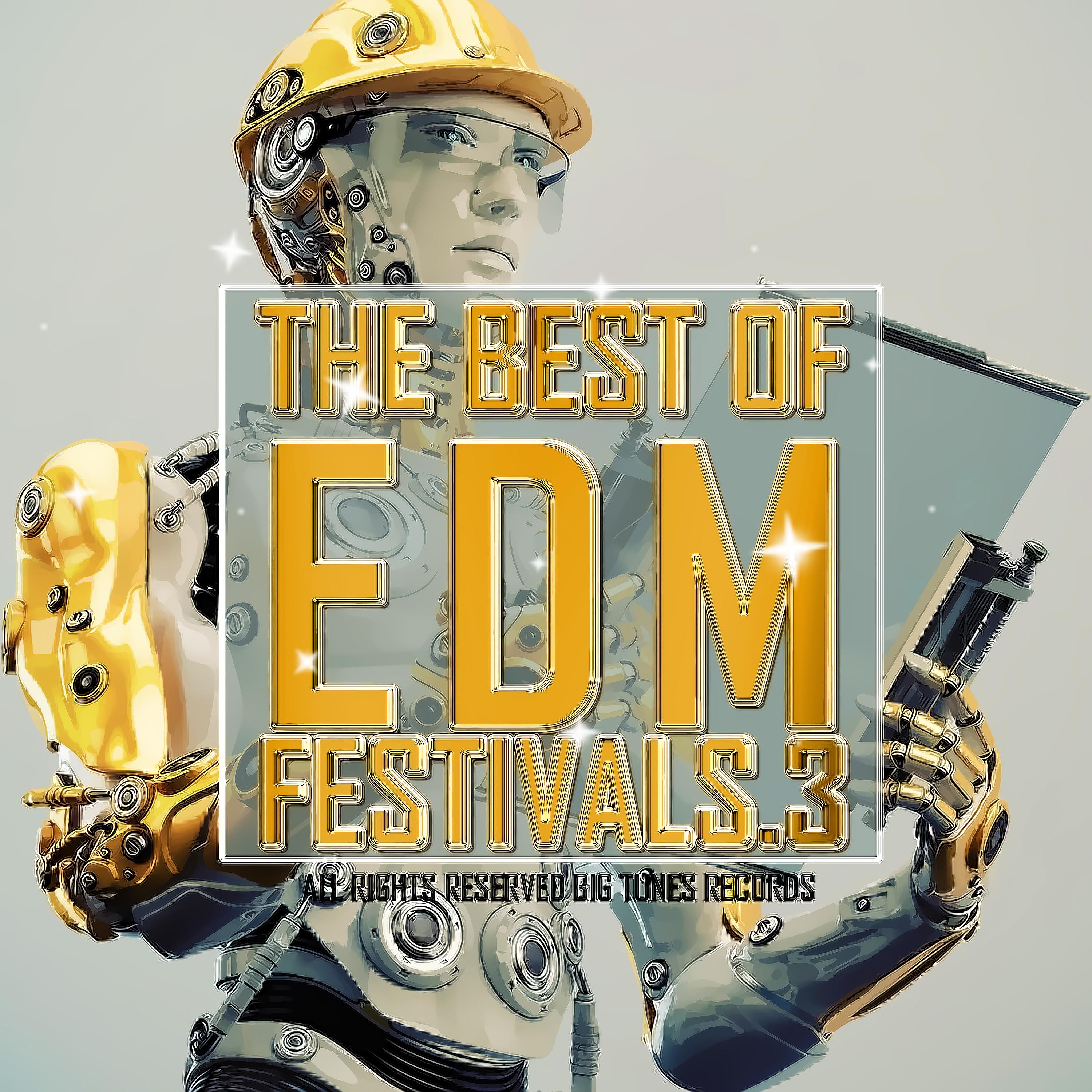The Best Of EDM Festivals.3