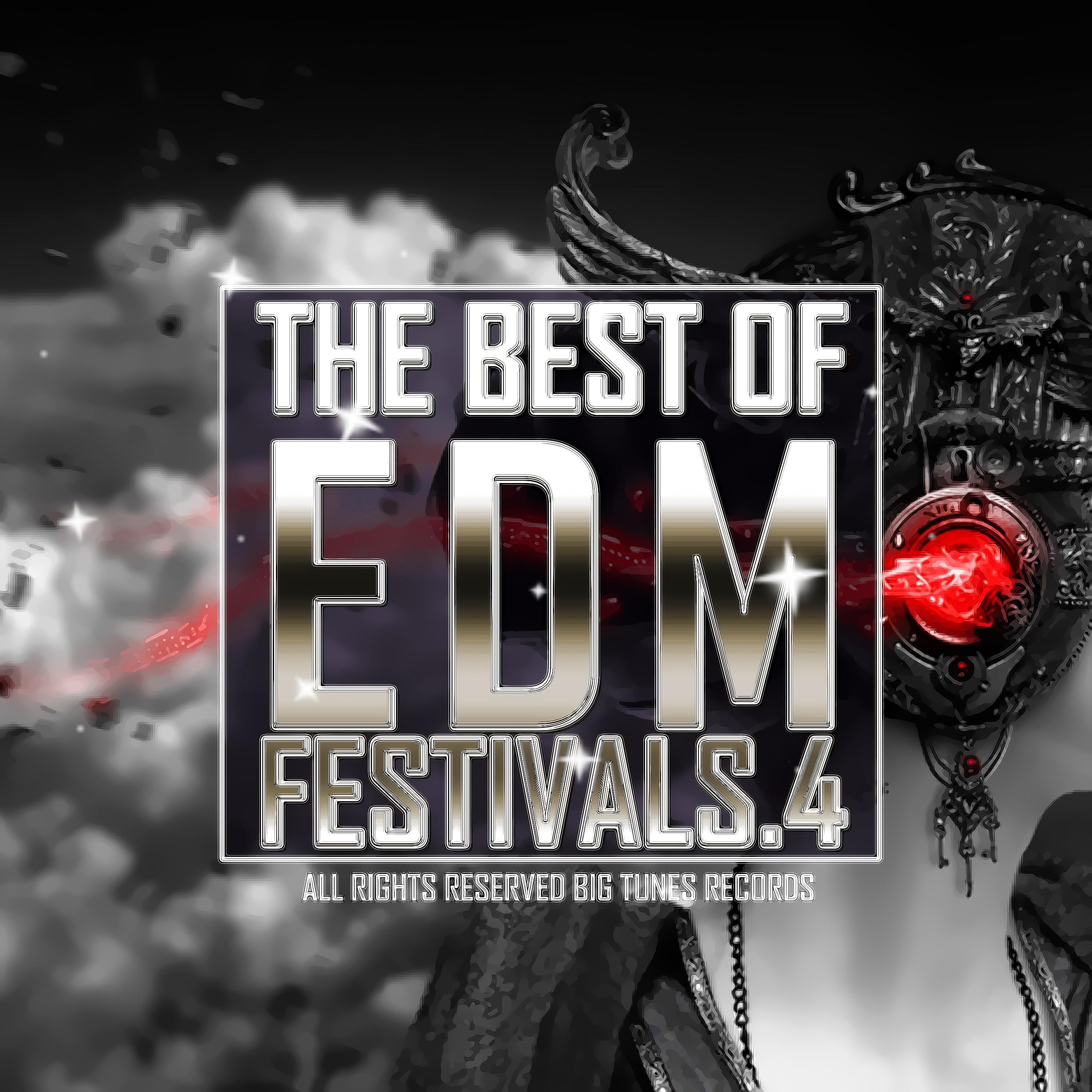 The Best Of EDM Festivals.4