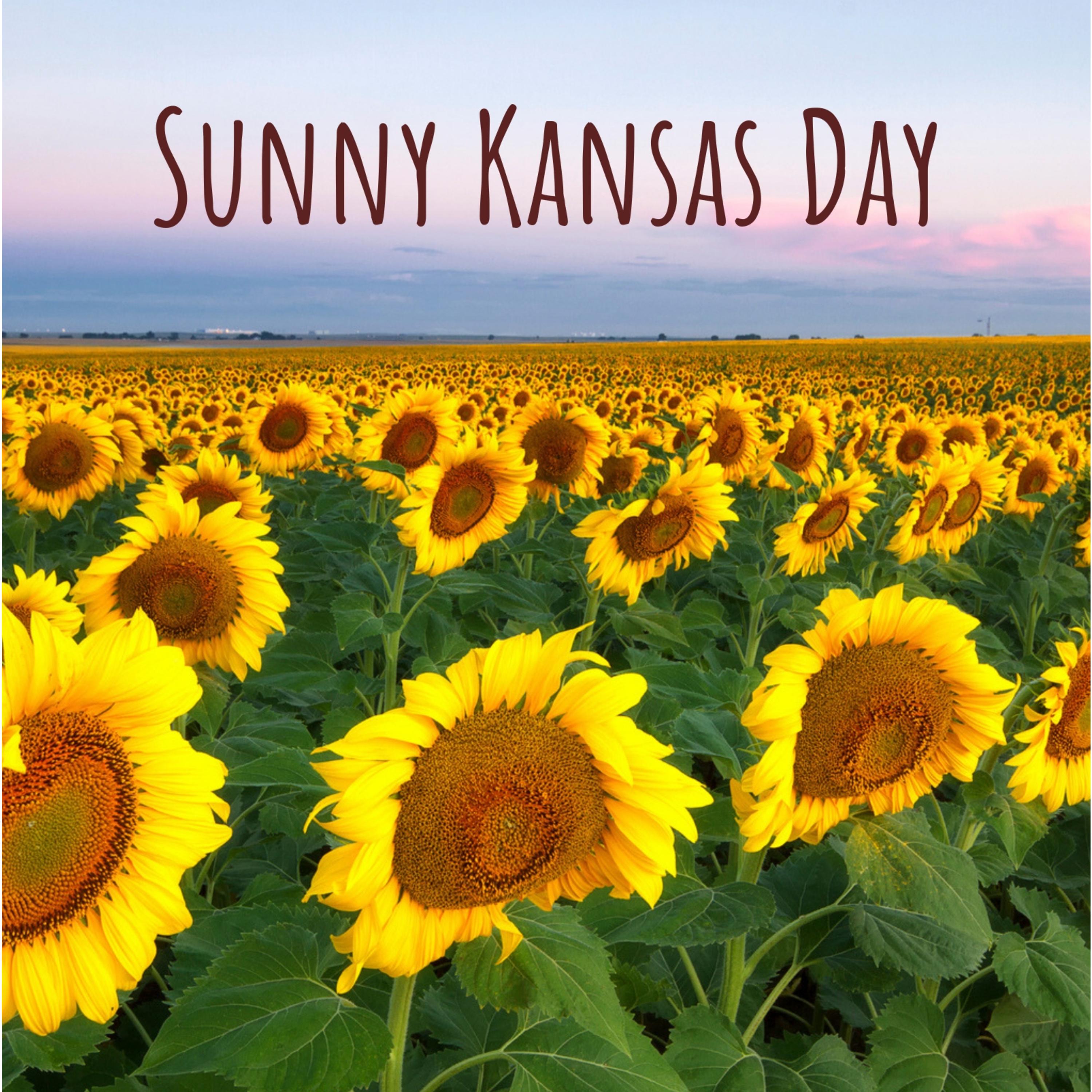 Sunny Kansas Day