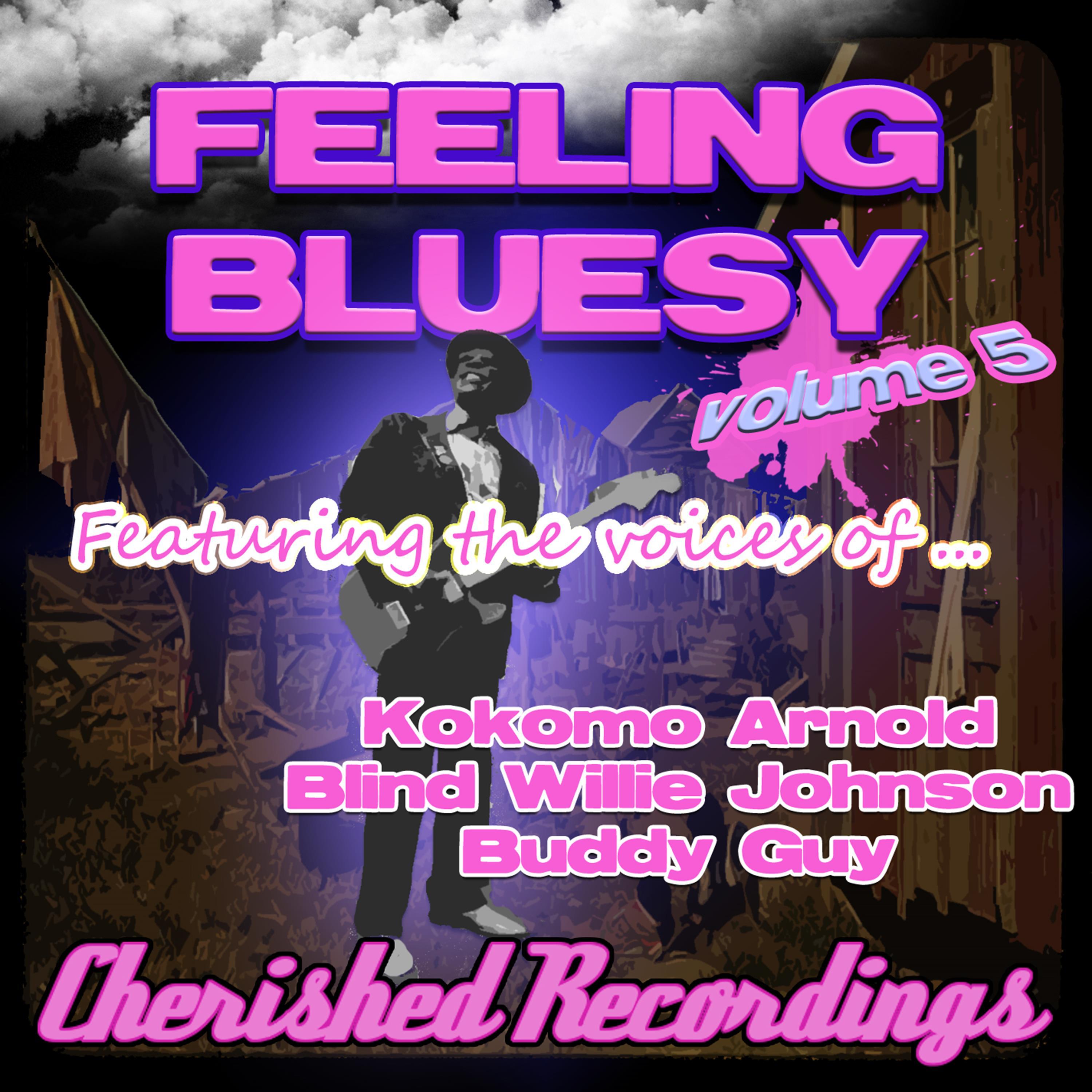 Feeling Bluesy, Vol. 5