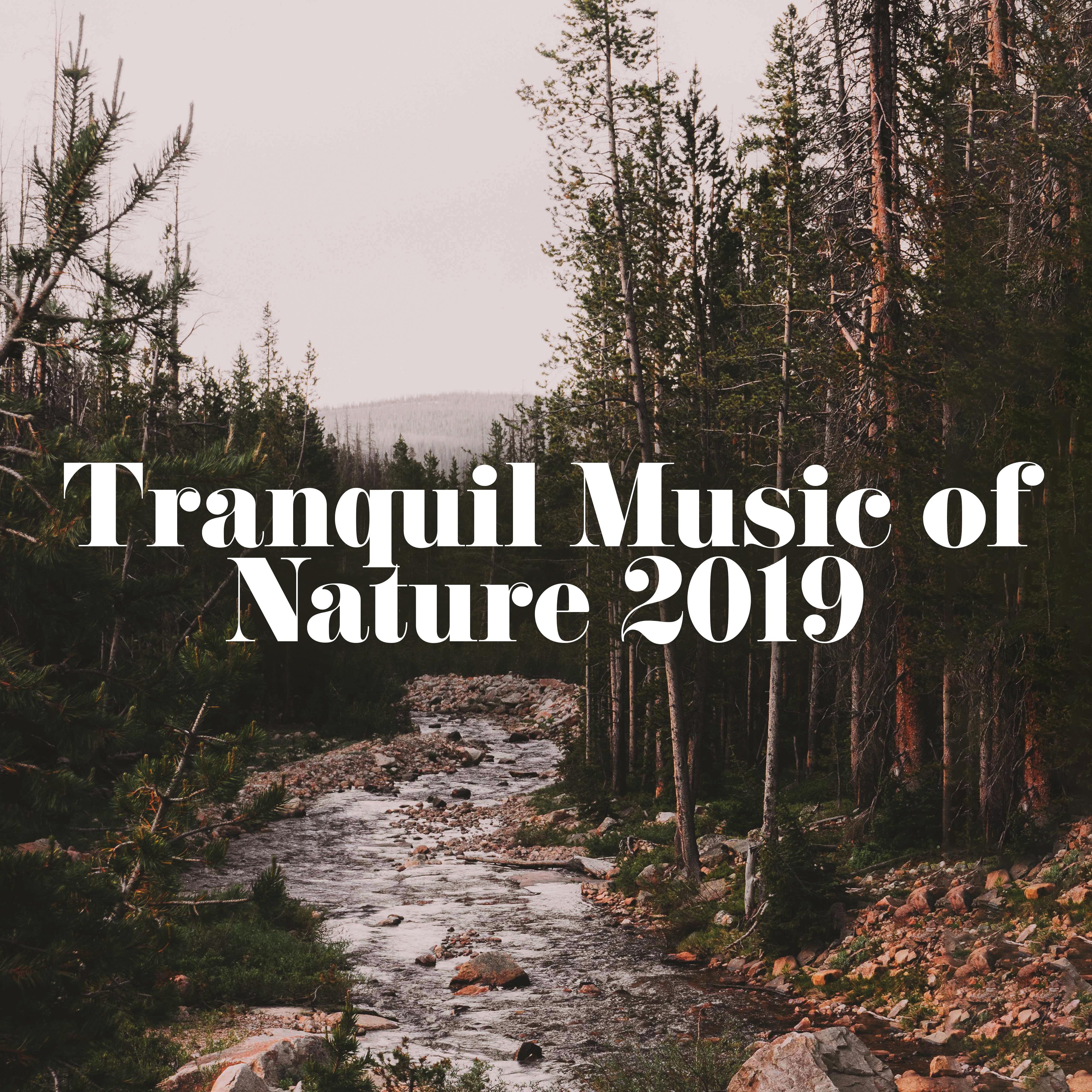 Tranquil Music of Nature 2019