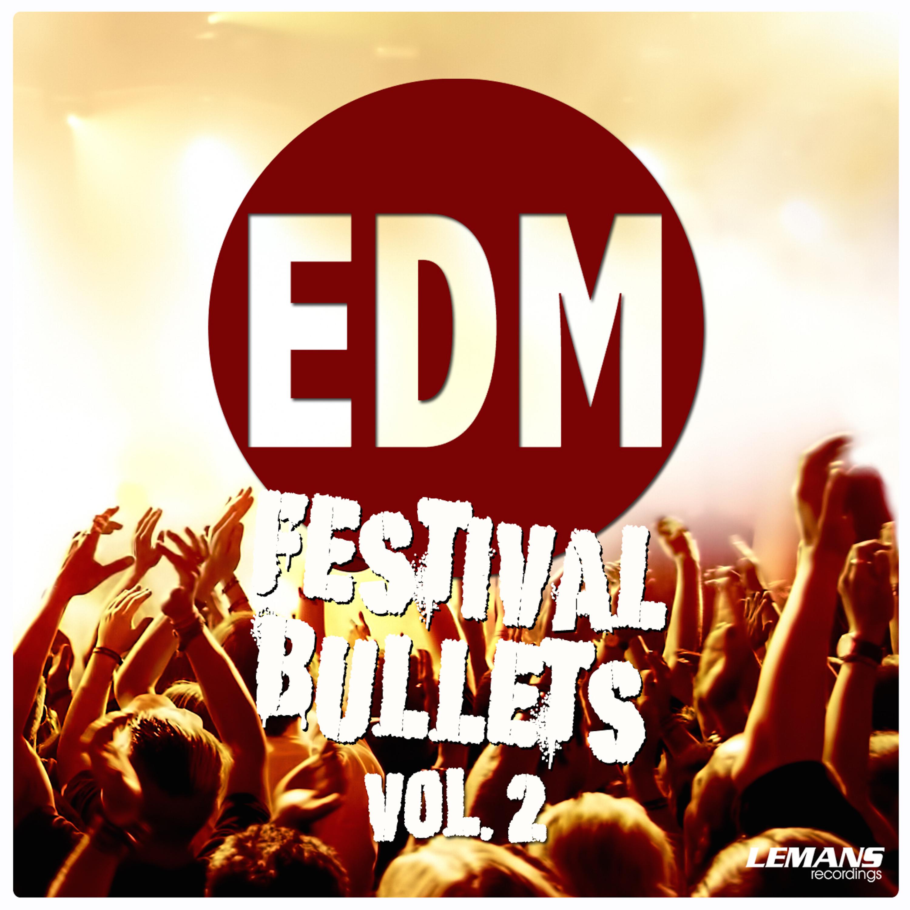EDM Festival Bullets, Vol. 2
