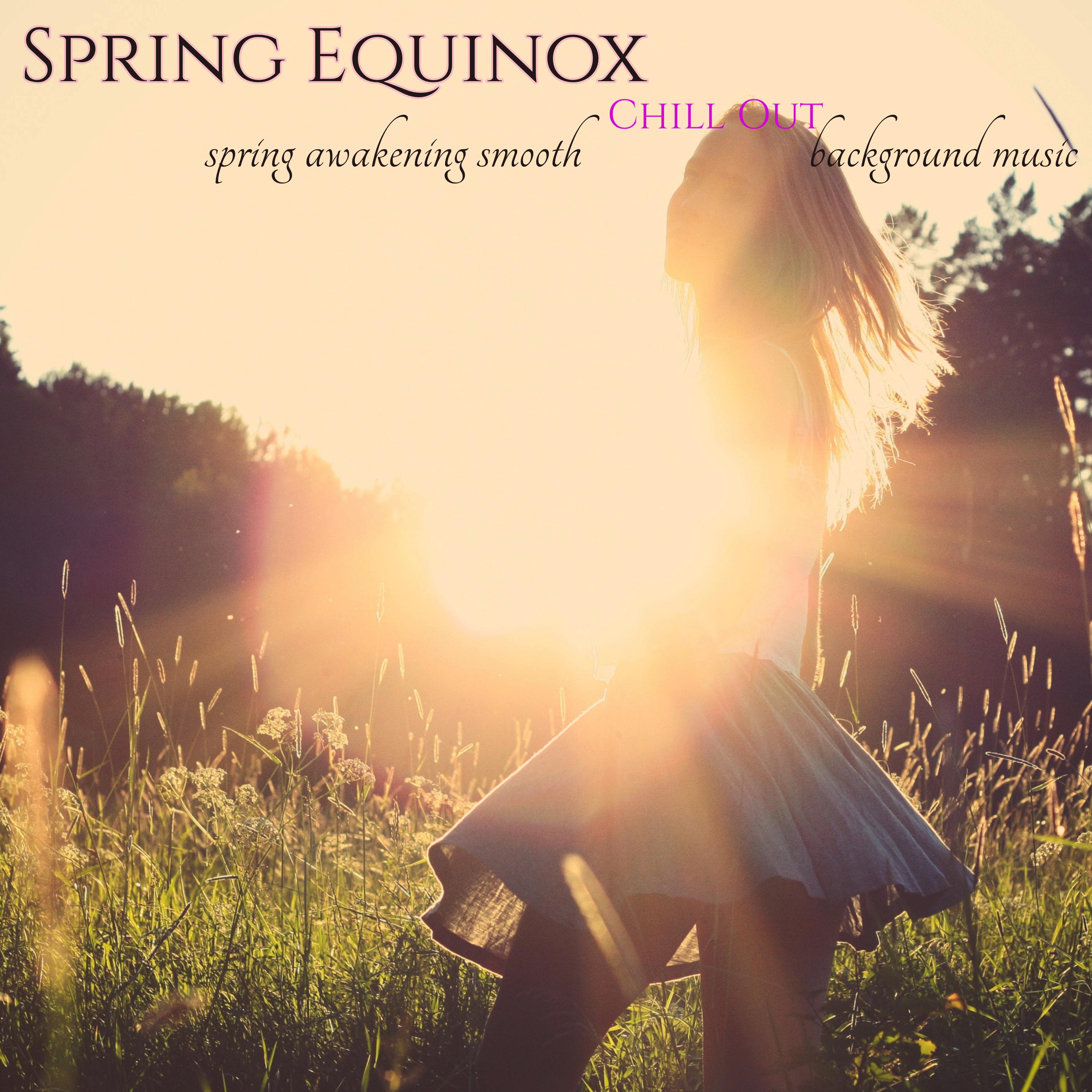 Spring Equinox  Spring Awakening Smooth Chill Out Background Music