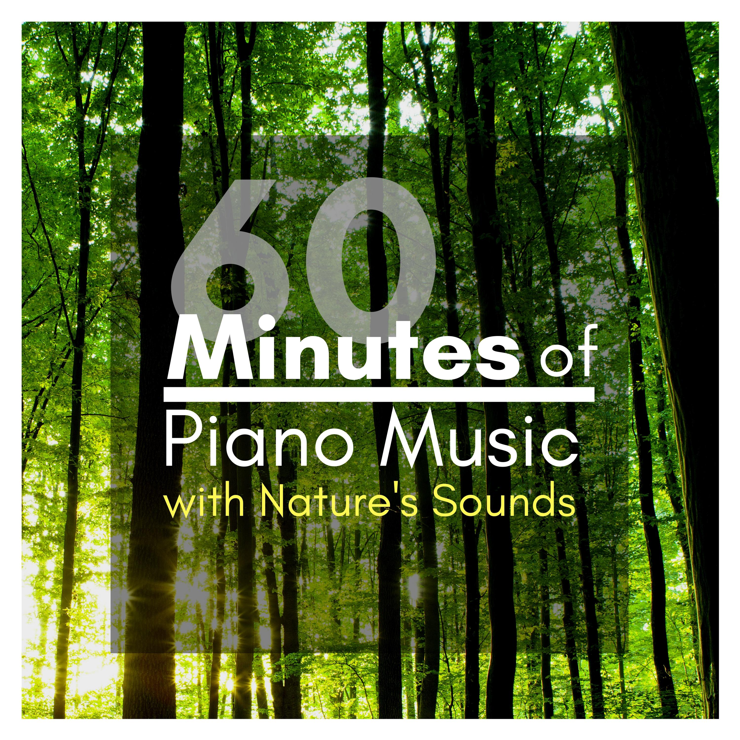 60 Minutes of Piano Music with Nature's Sounds