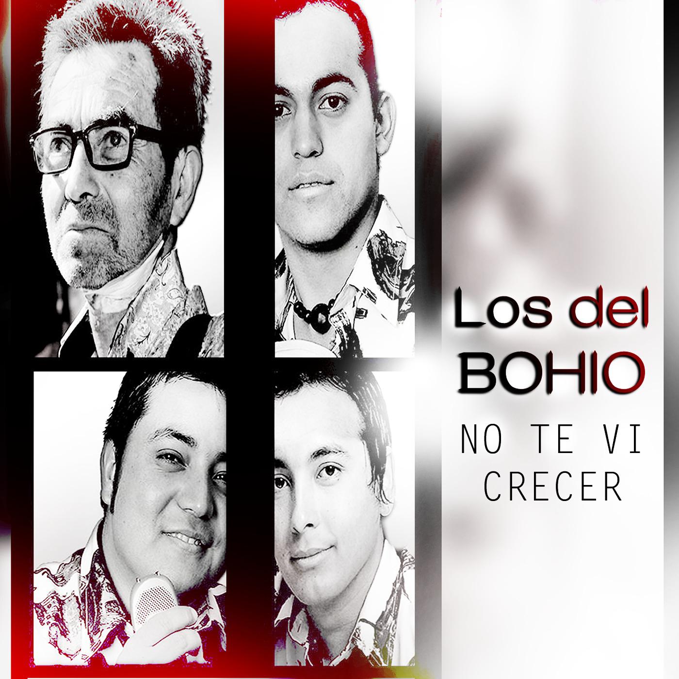 No Te Vi Crecer