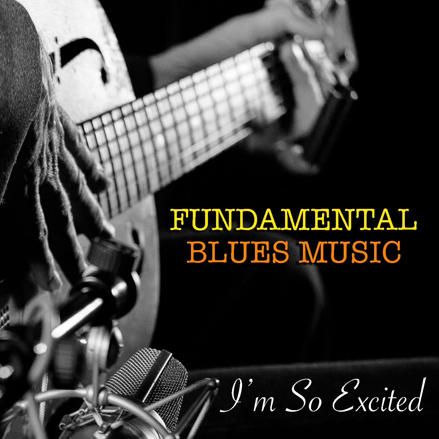 I'm So Excited Fundamental Blues Music