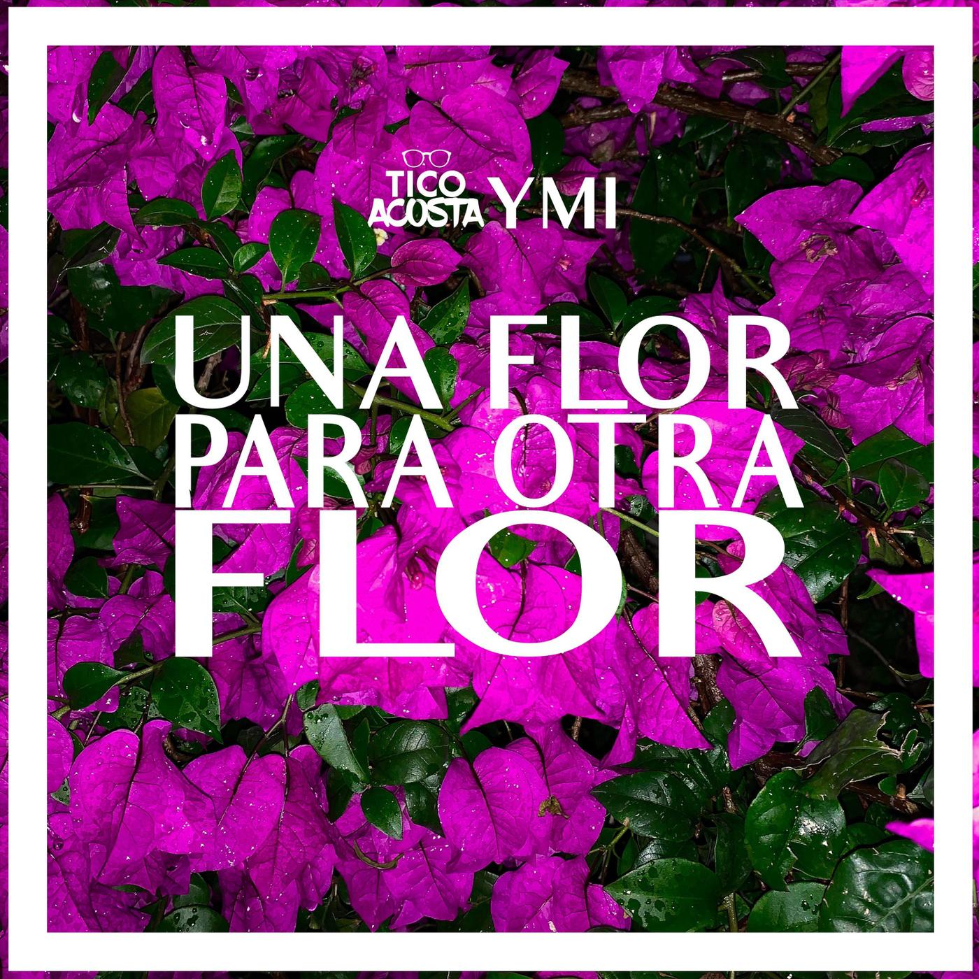 Una Flor Para Otra Flor