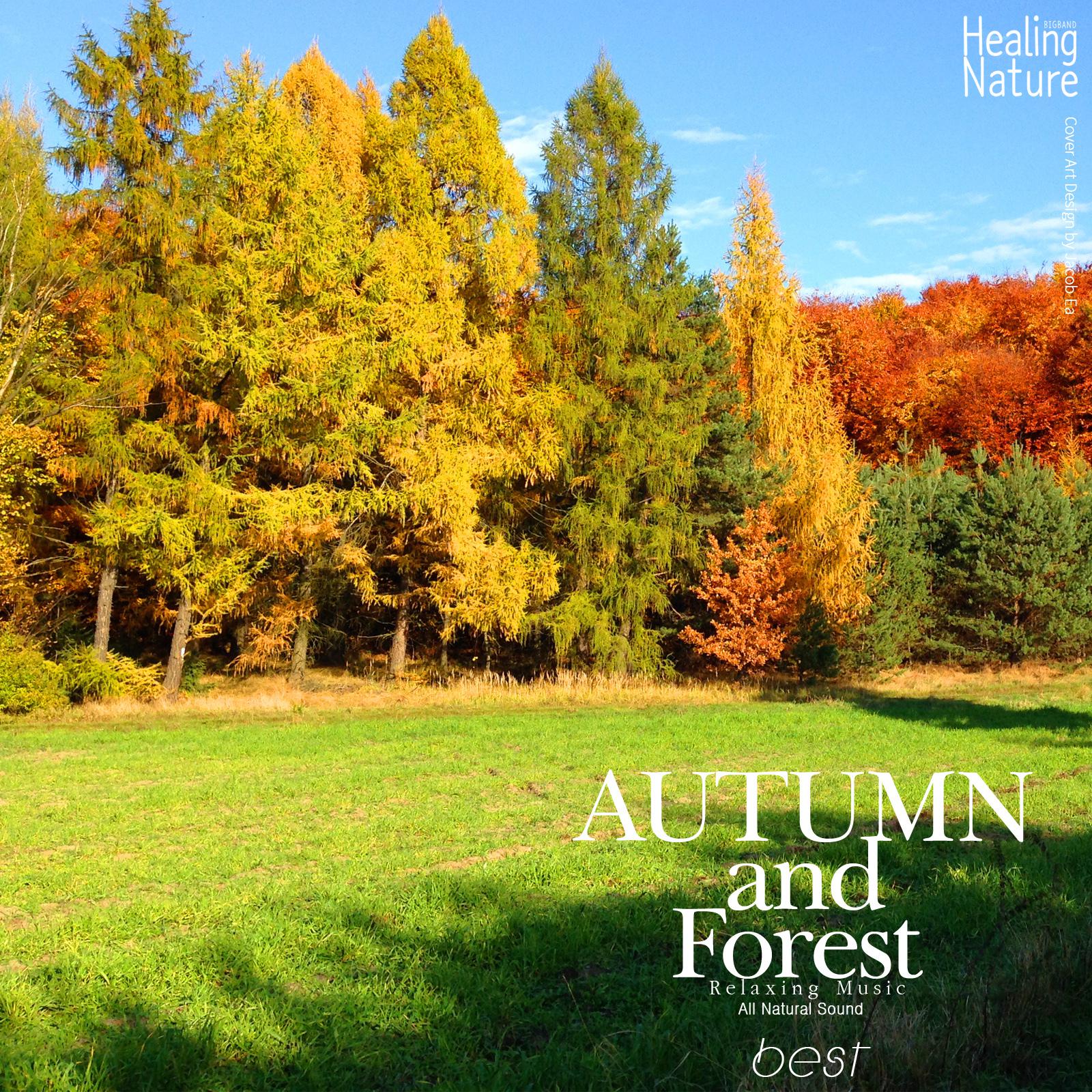 Autumn and Forest Relaxing Music, Best