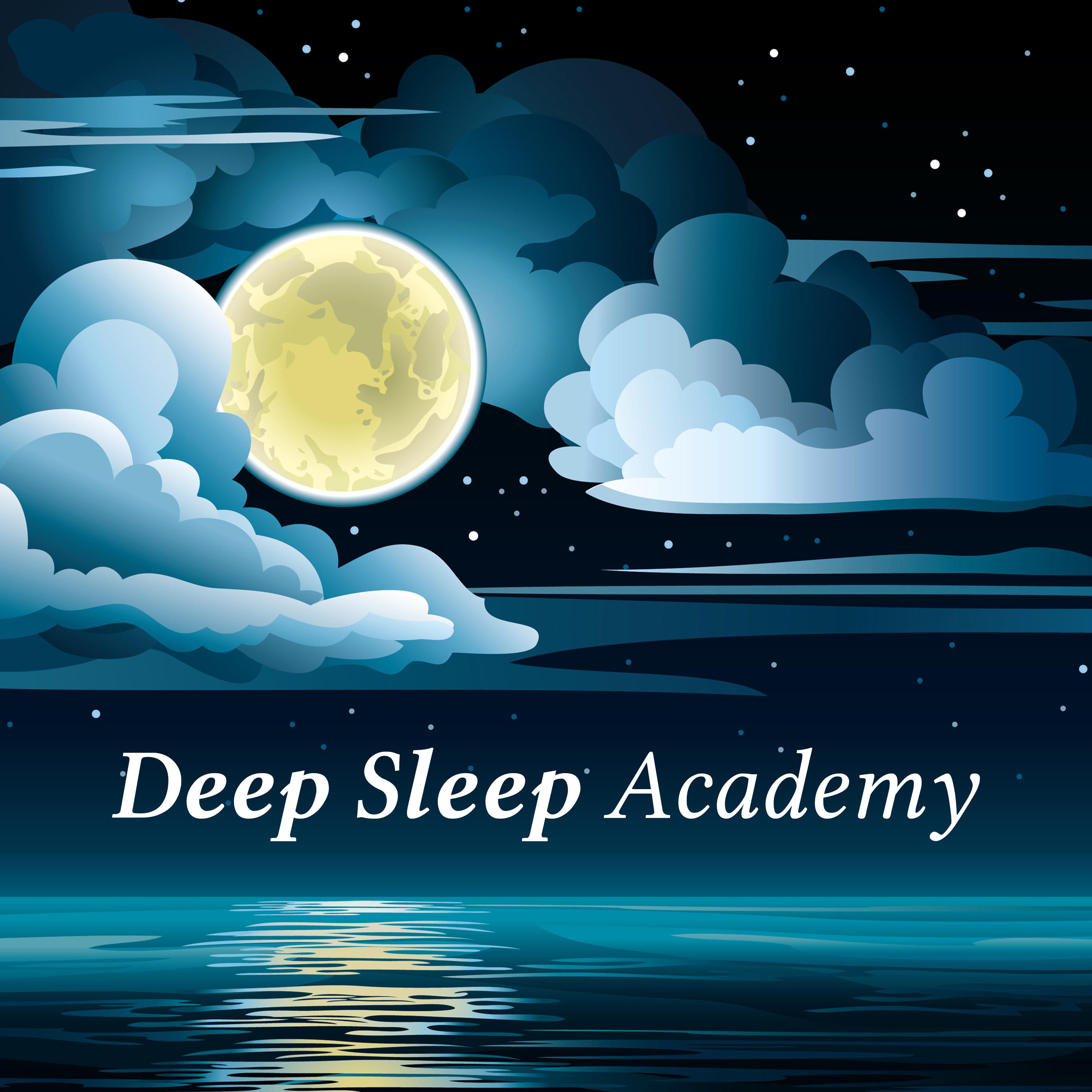 Deep Sleep Academy (Gentle Sounds to Help You Fall Asleep Quickly)