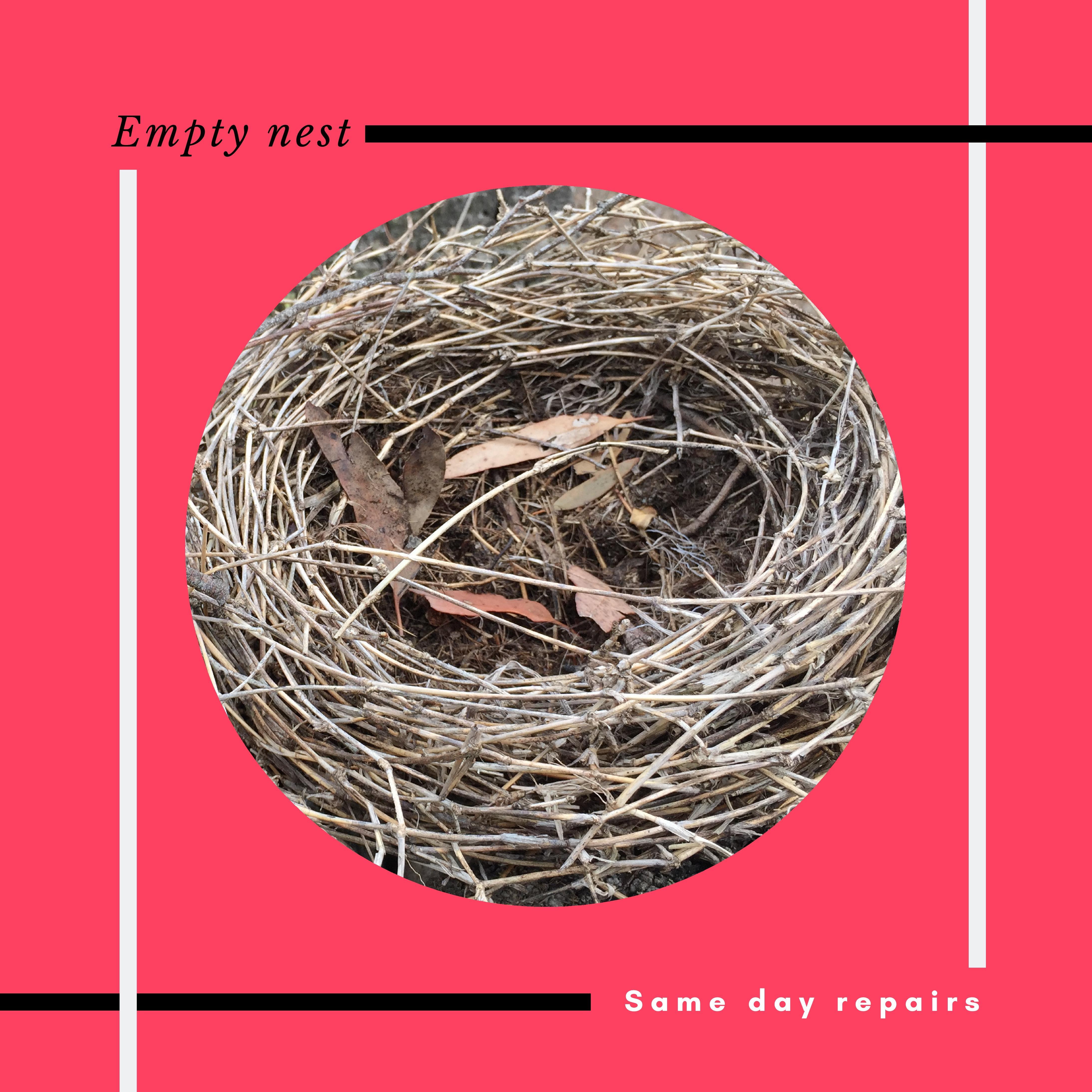 Empty nest