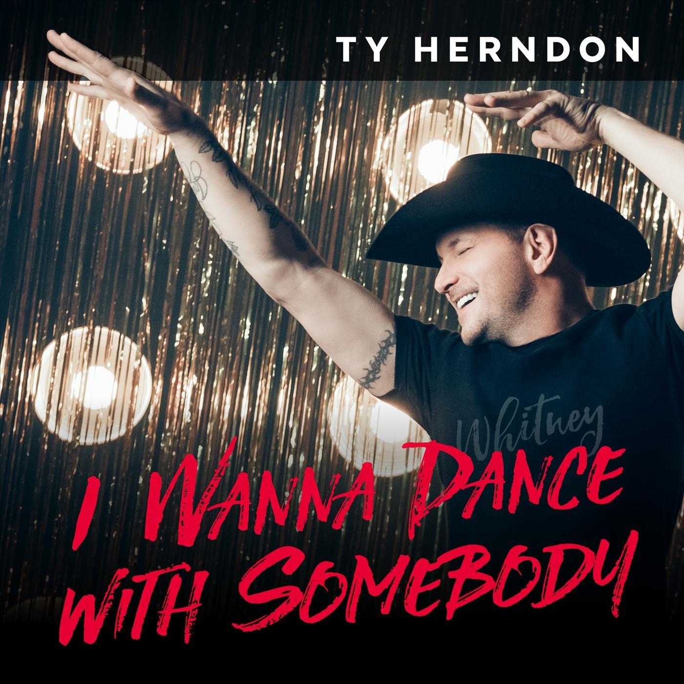 I Wanna Dance with Somebody