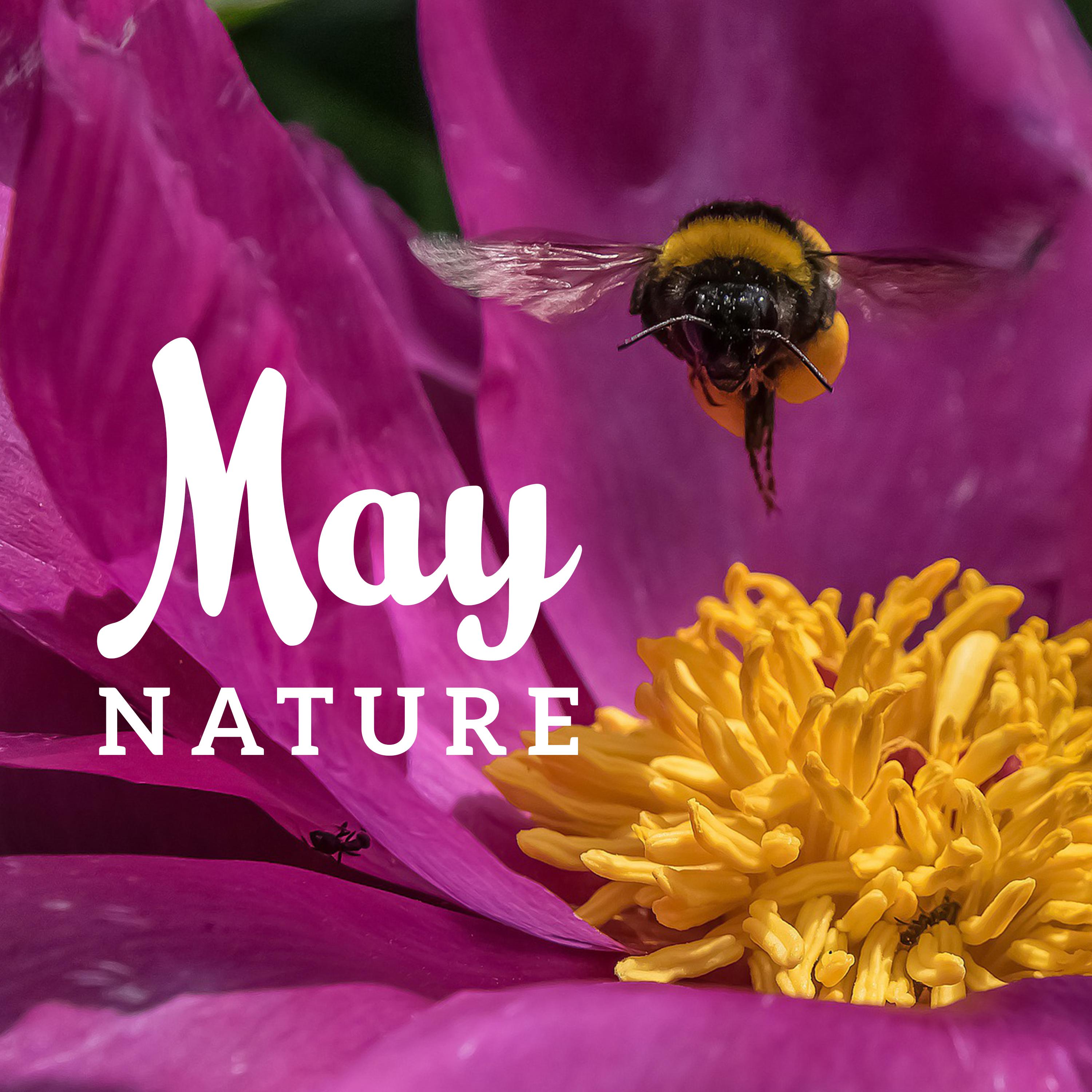 May Nature (30 Sounds of Relaxing Mixed Nature, Meditation, Sleep & Wellness Music)