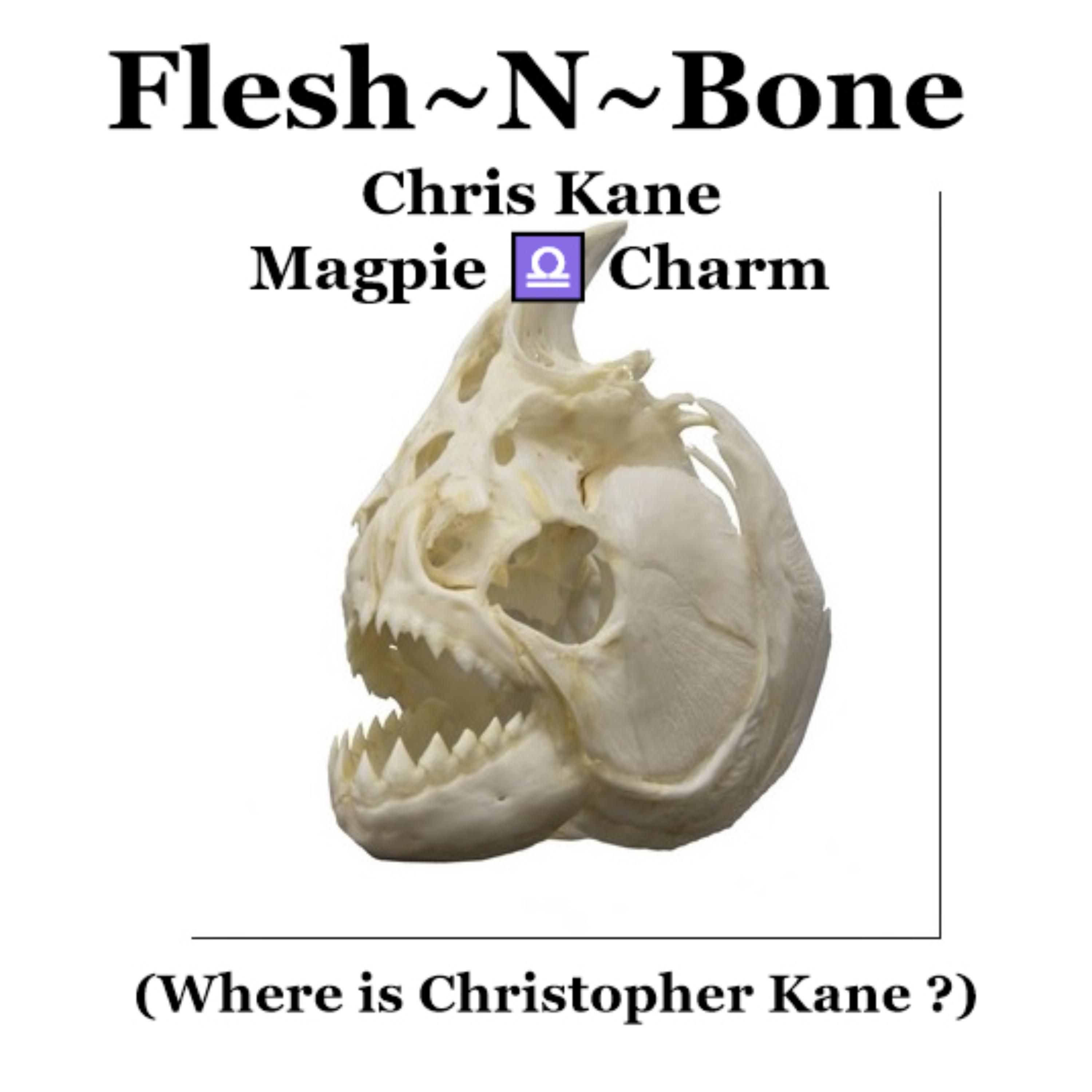 Flesh-N-Bone