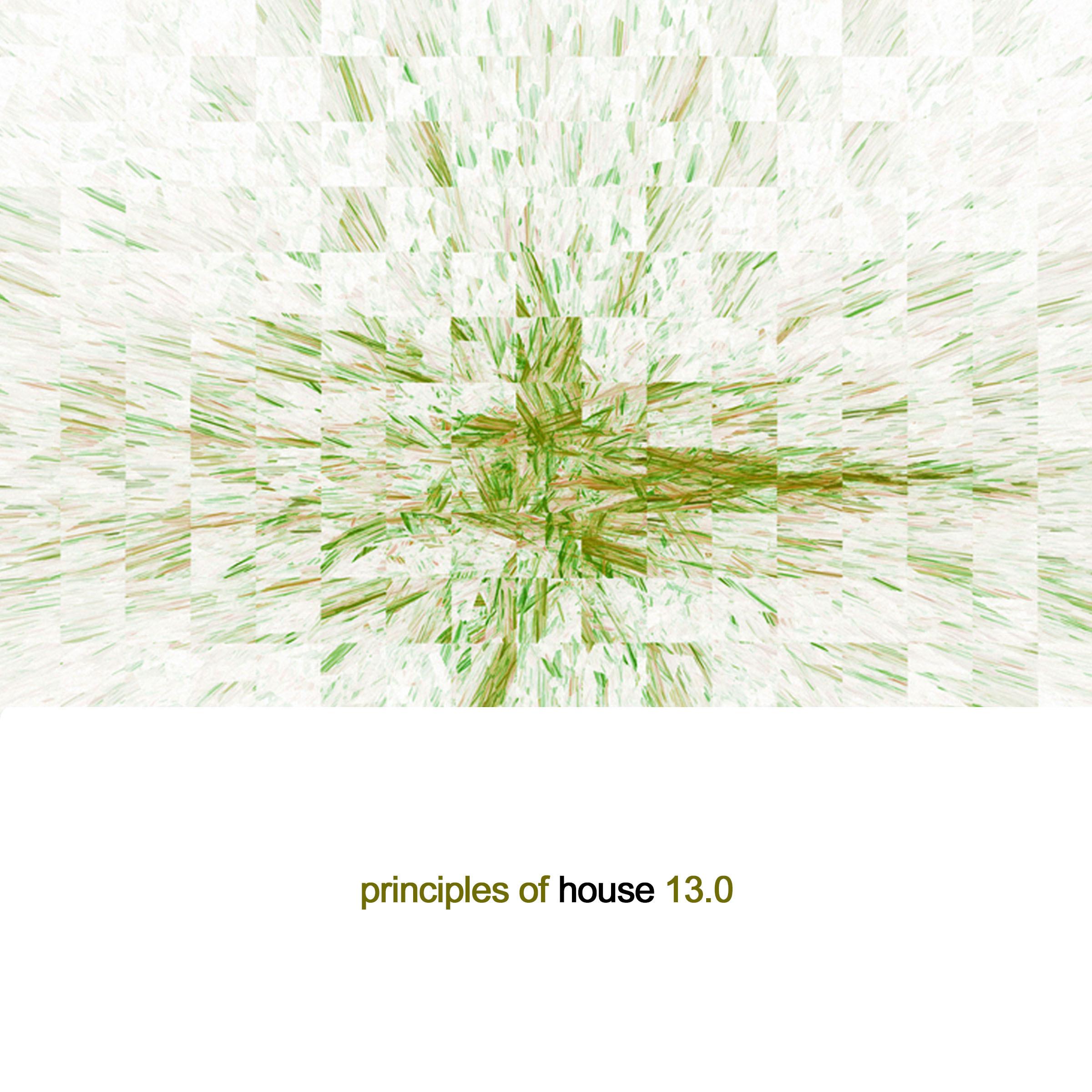 Principles of House, Vol. 13